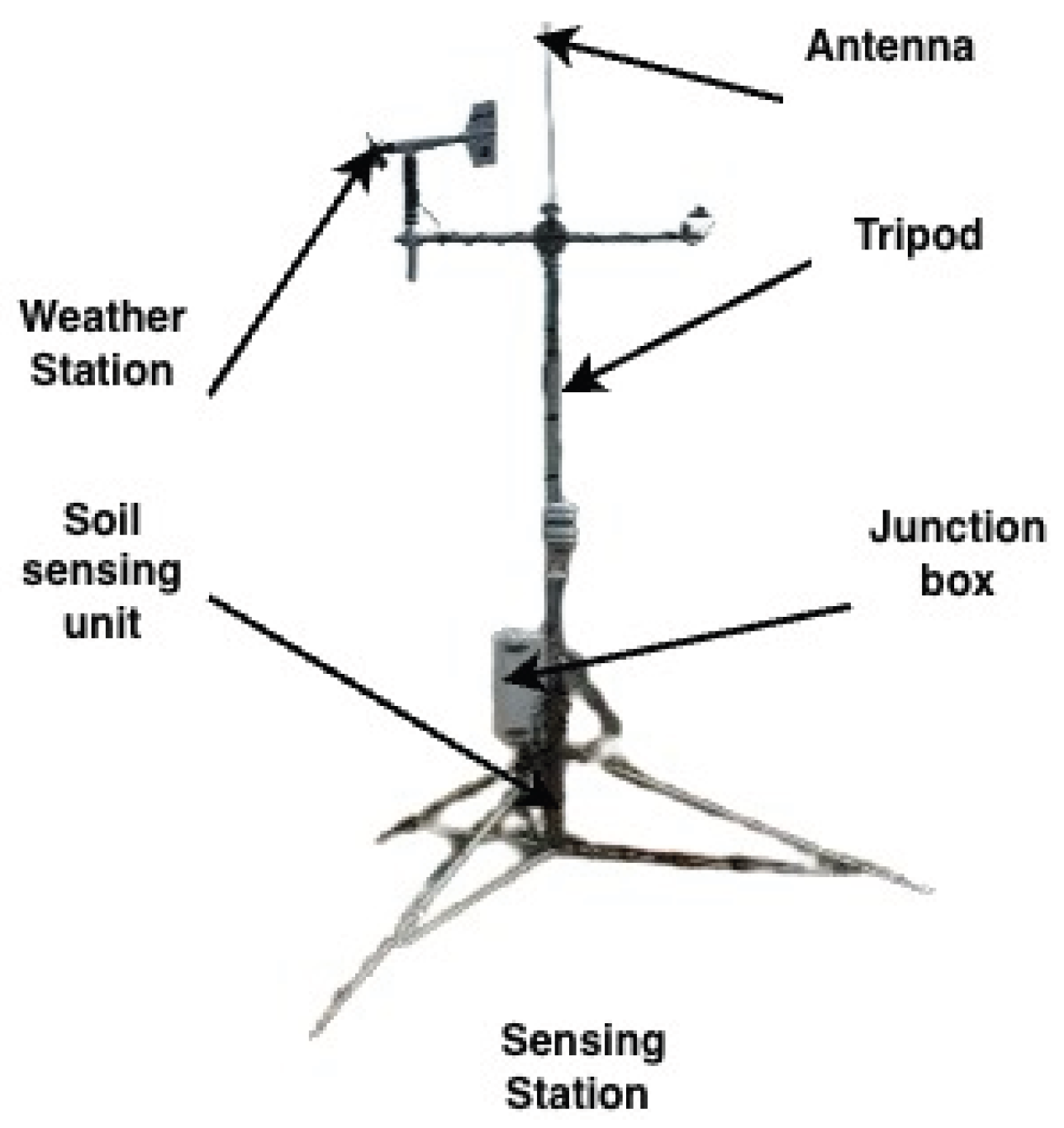 Preprints 197996 g005