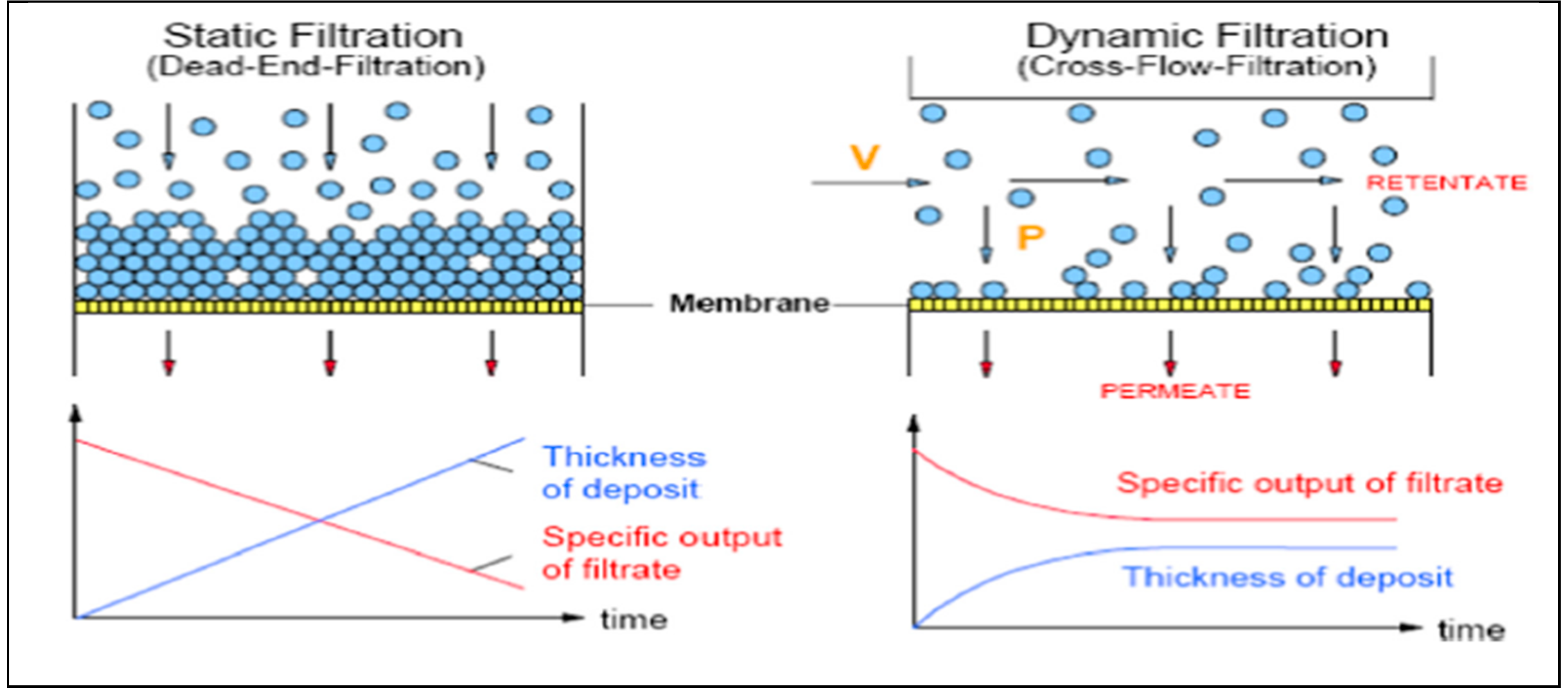 Preprints 140586 g004