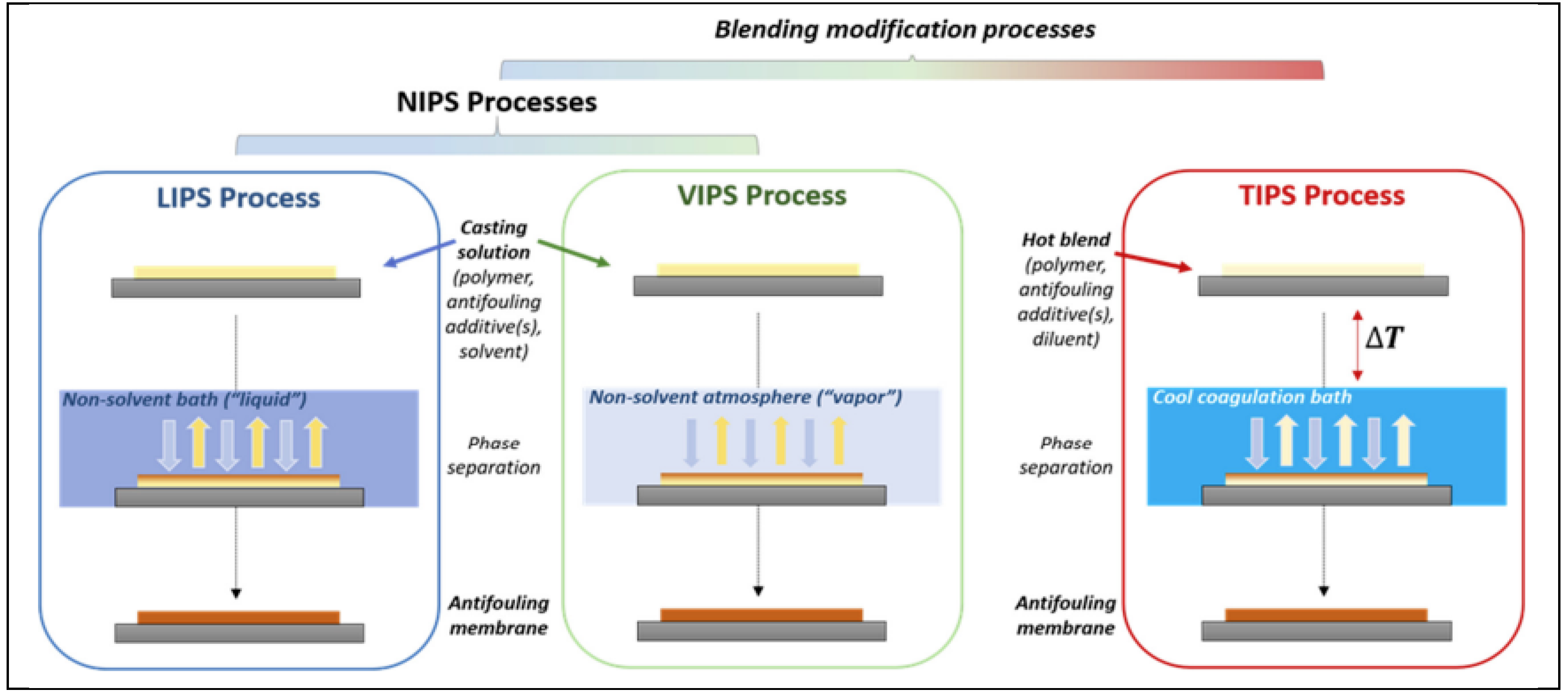 Preprints 140586 g006