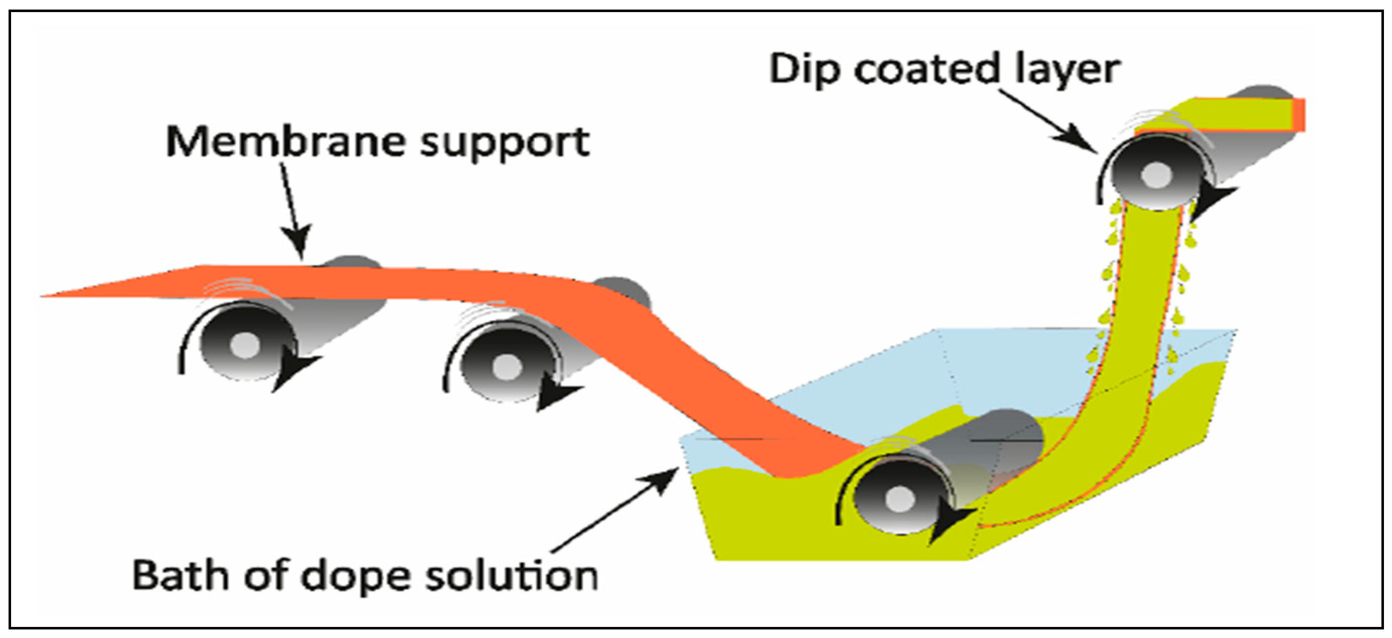 Preprints 140586 g007