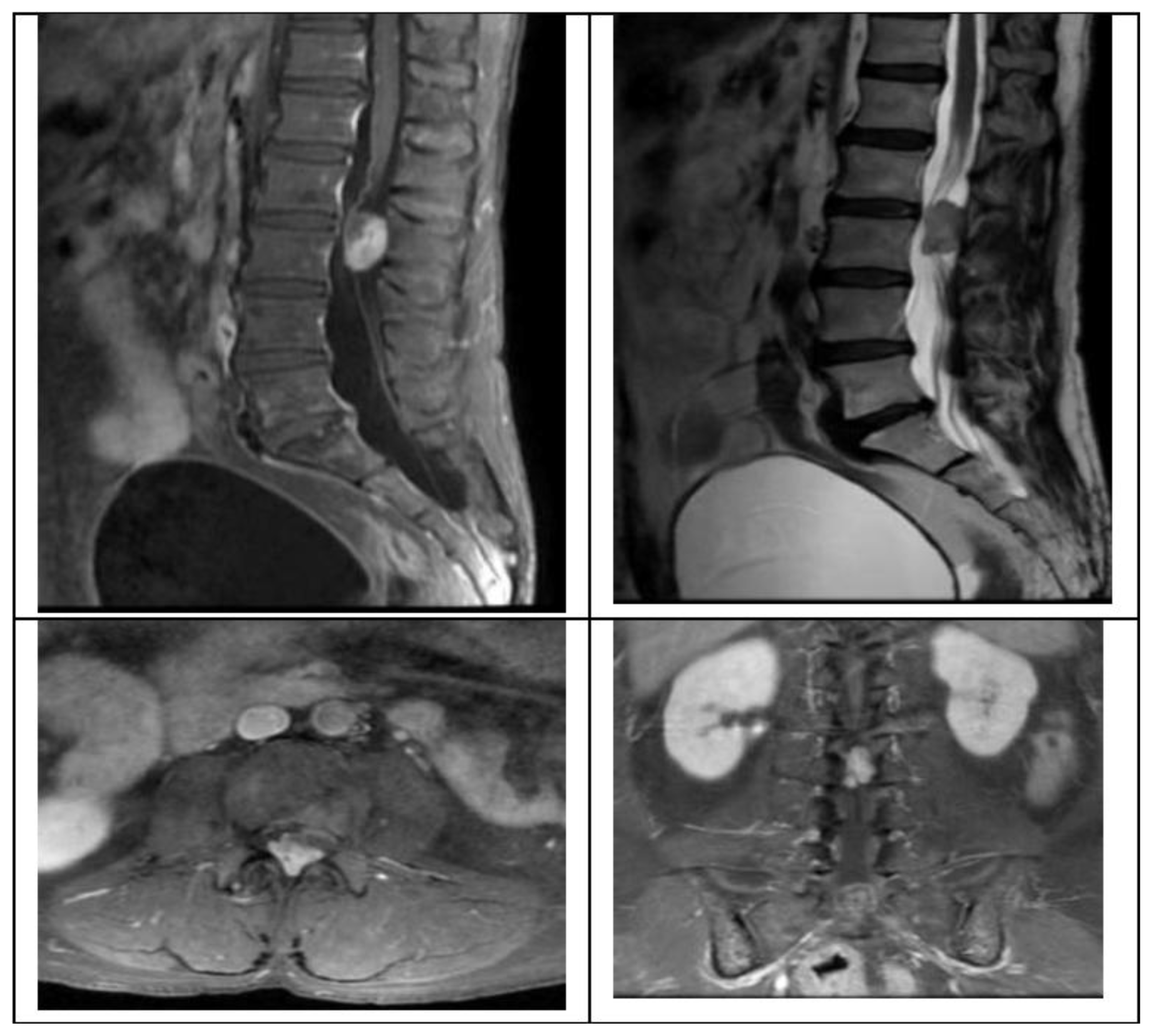 Preprints 185938 g001