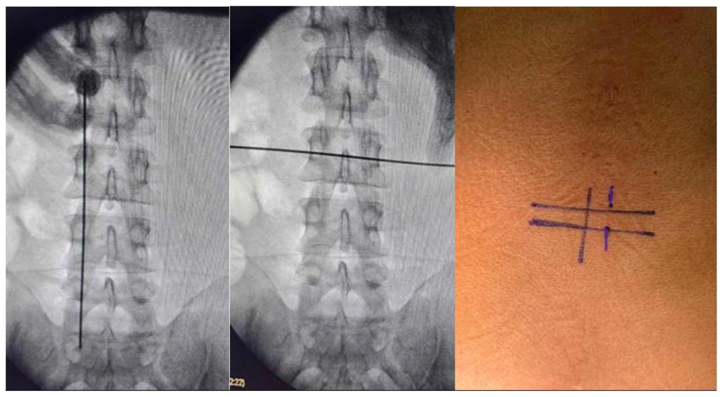 Preprints 185938 g002