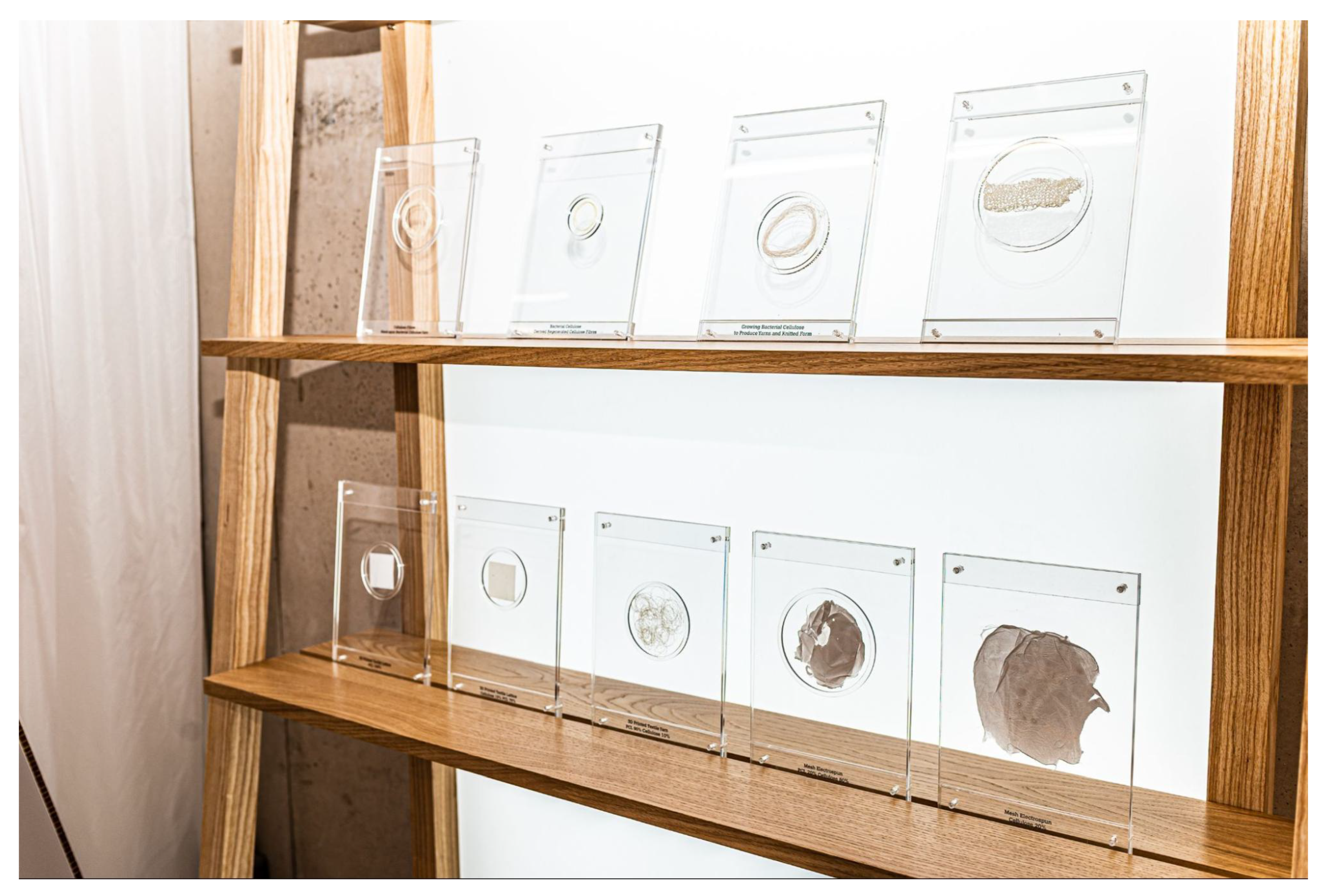 Preprints 156170 g003