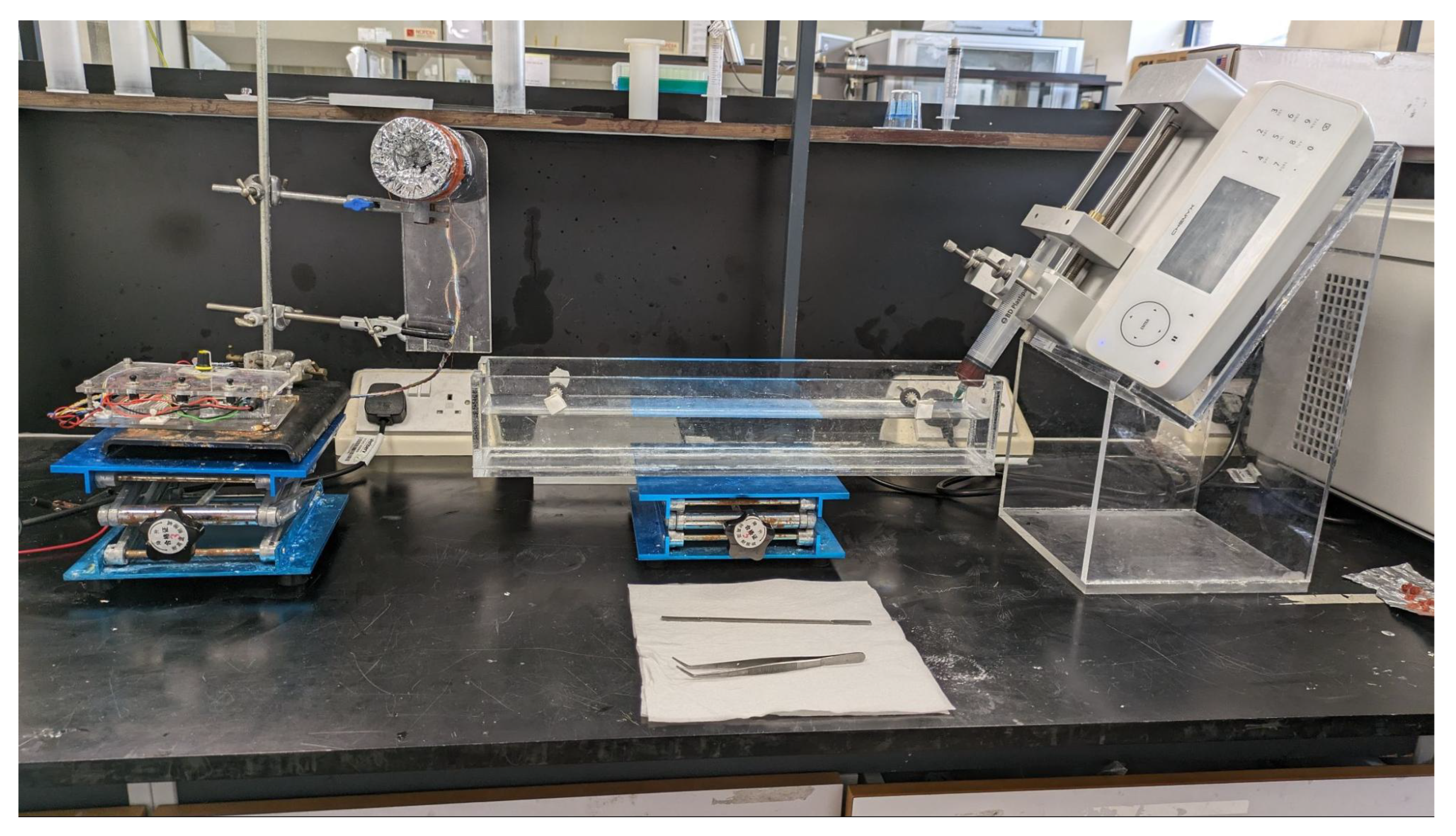 Preprints 156170 g007