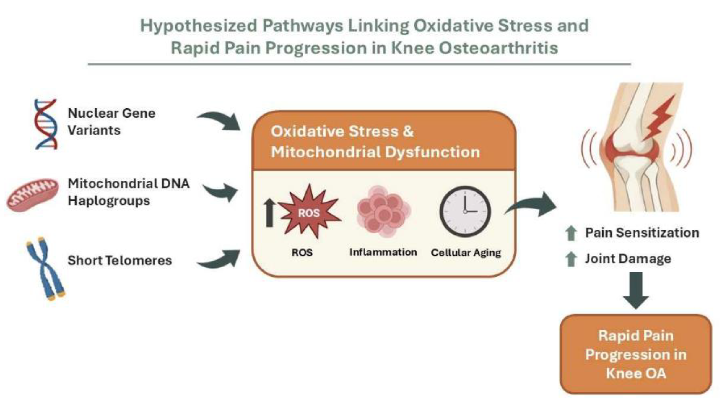 Preprints 196230 g002