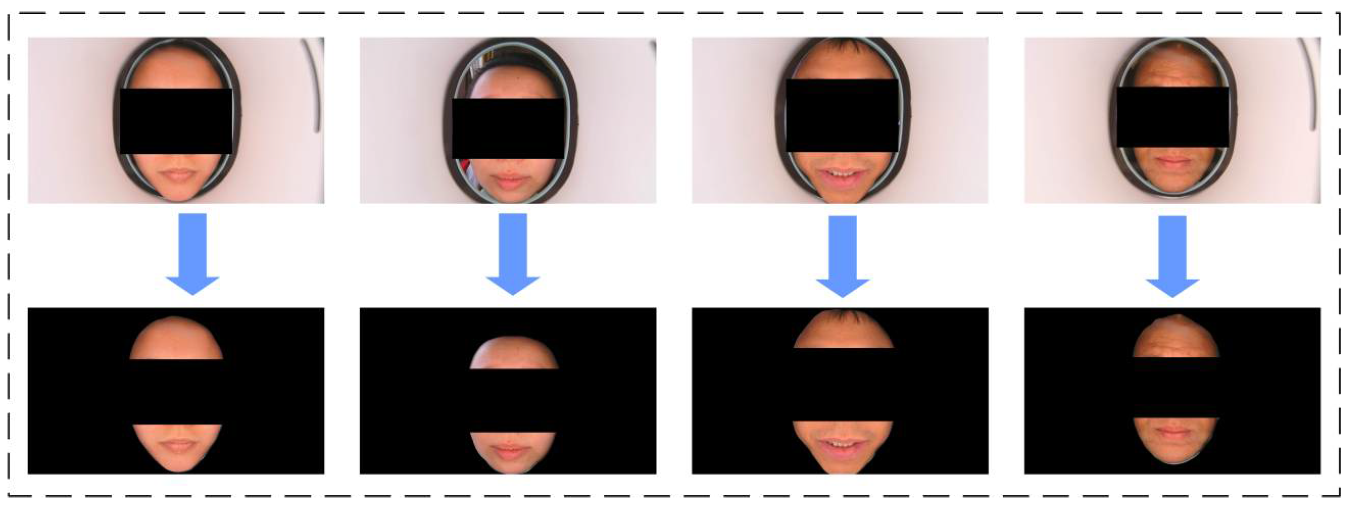 Preprints 156458 g001