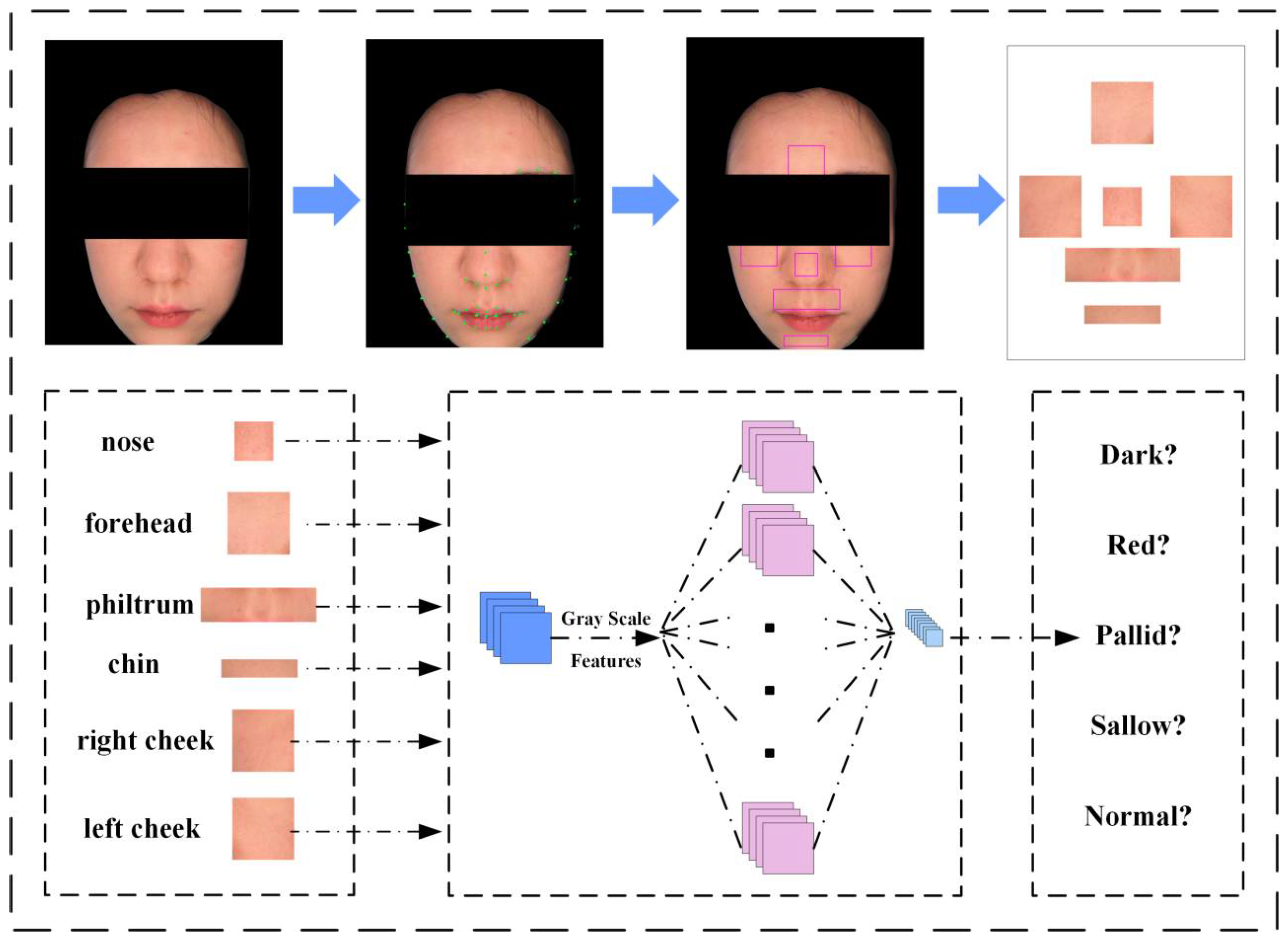 Preprints 156458 g002