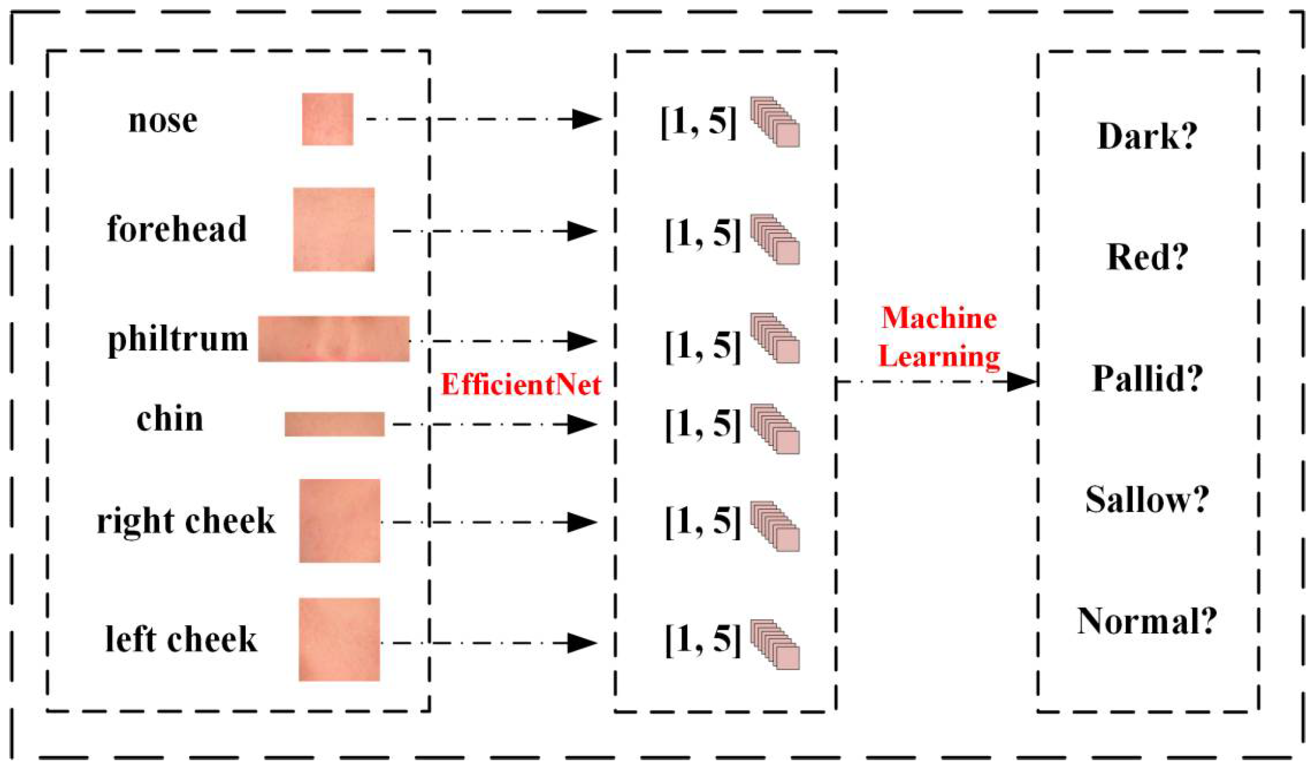 Preprints 156458 g004