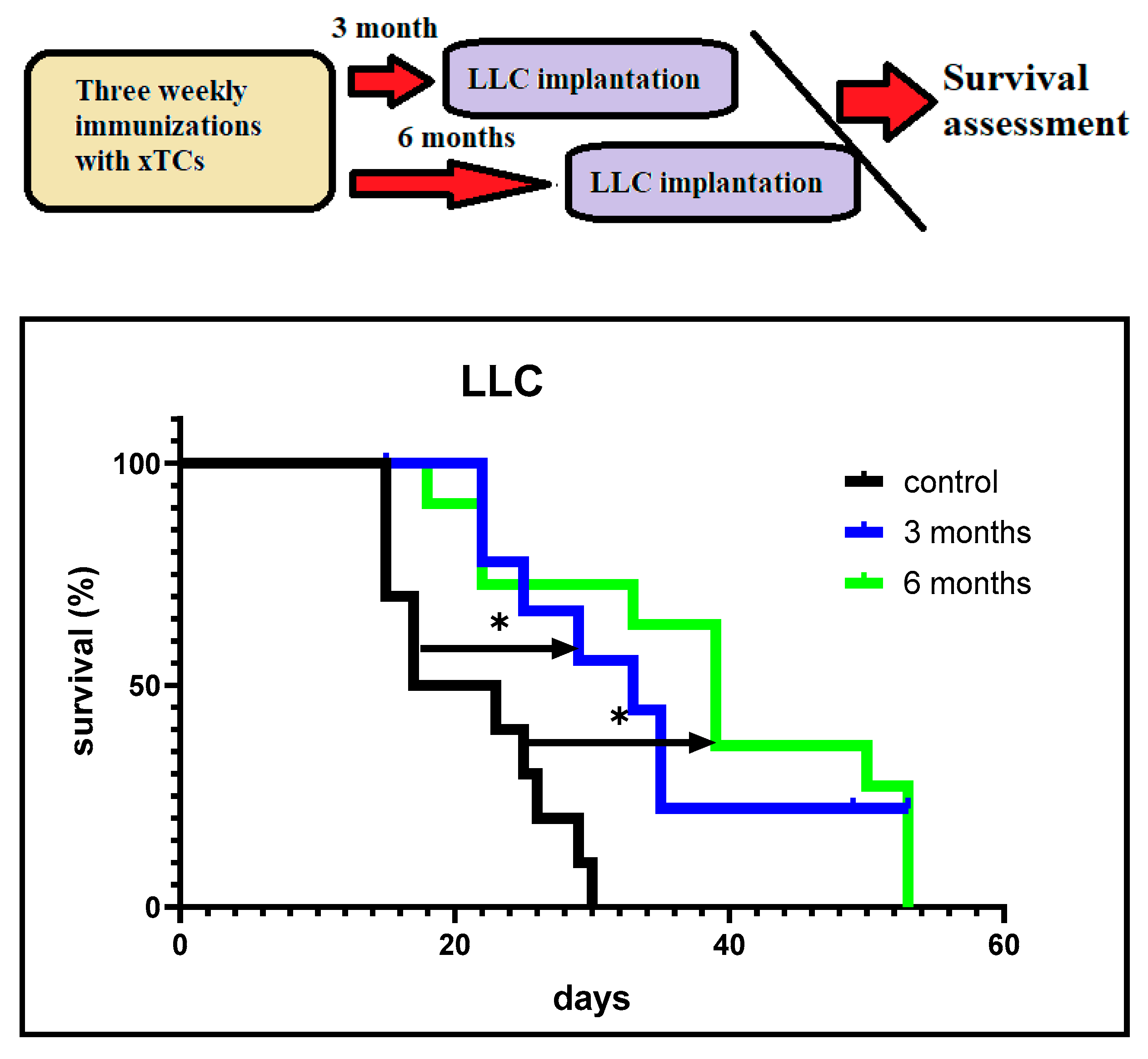 Preprints 154283 g003