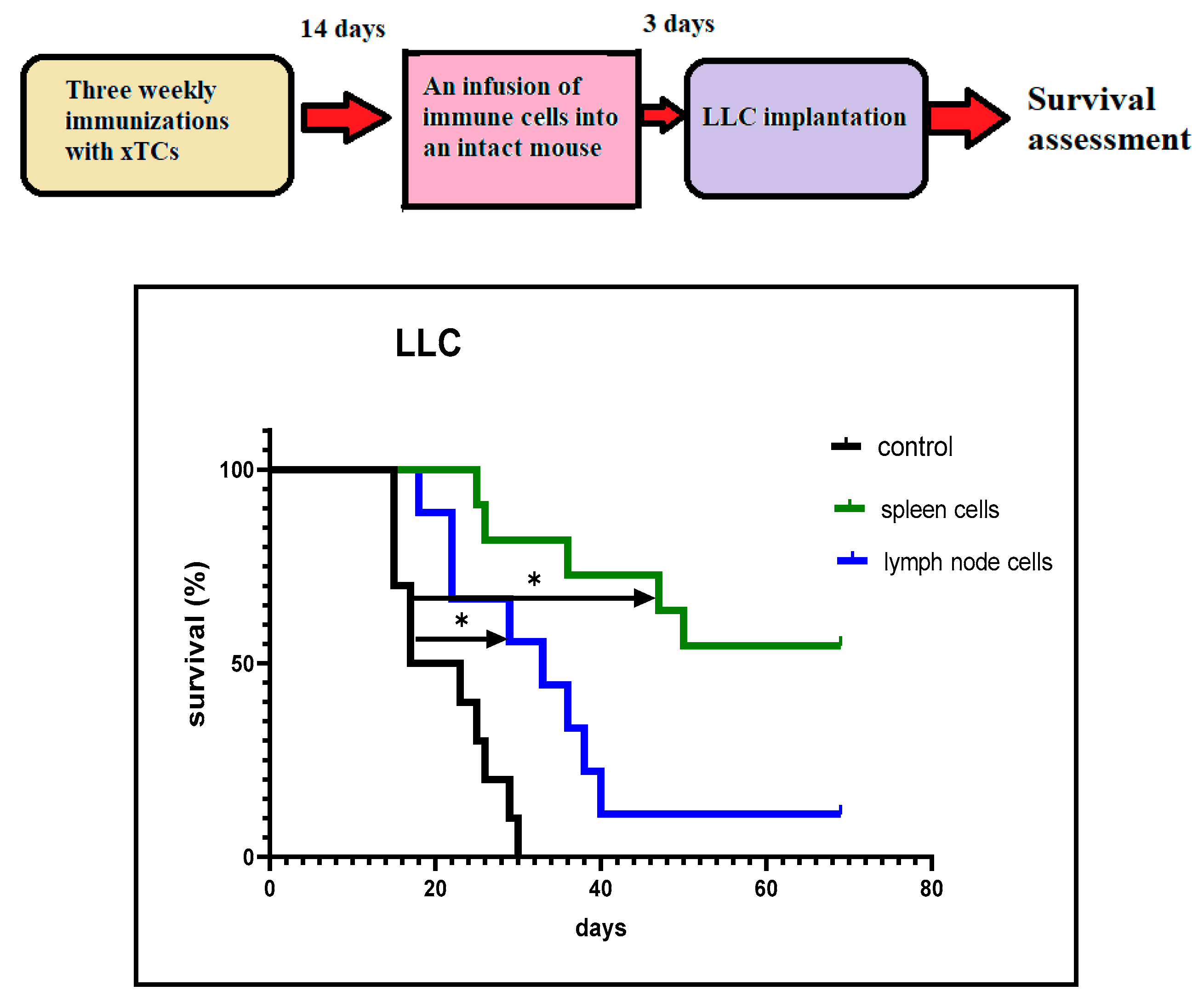 Preprints 154283 g004