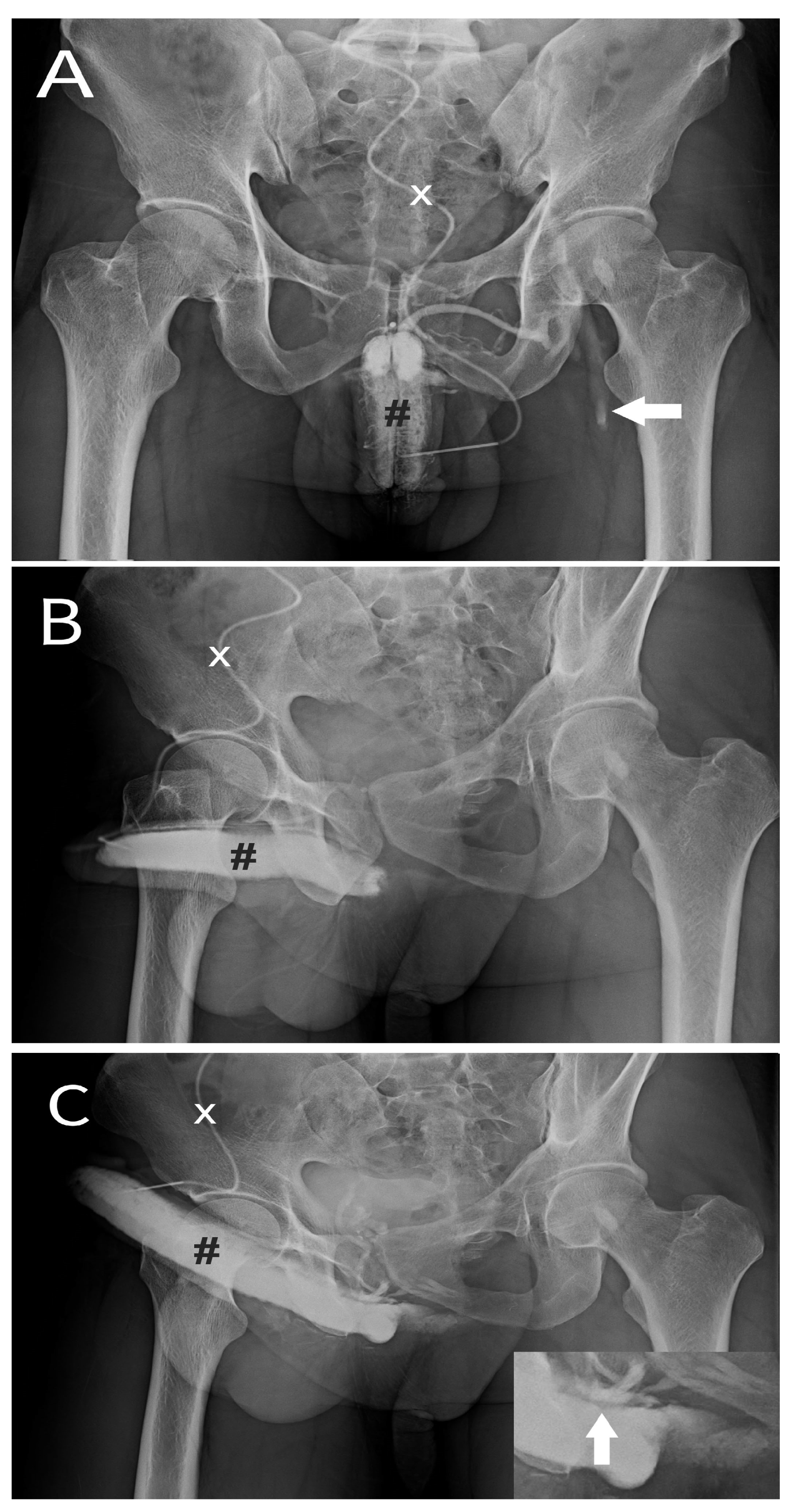 Preprints 109698 g001