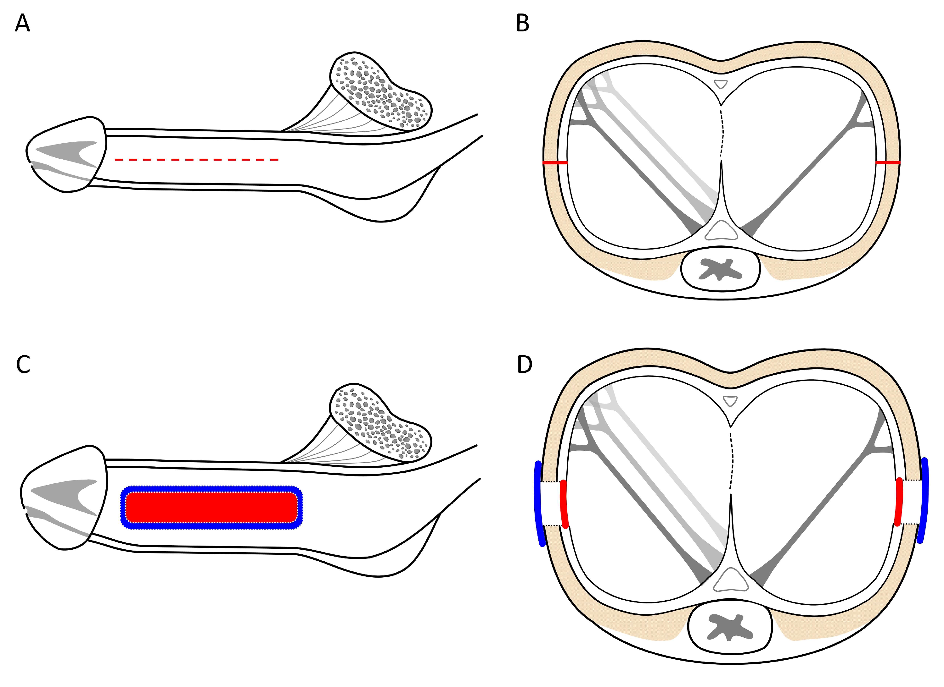 Preprints 109698 g003