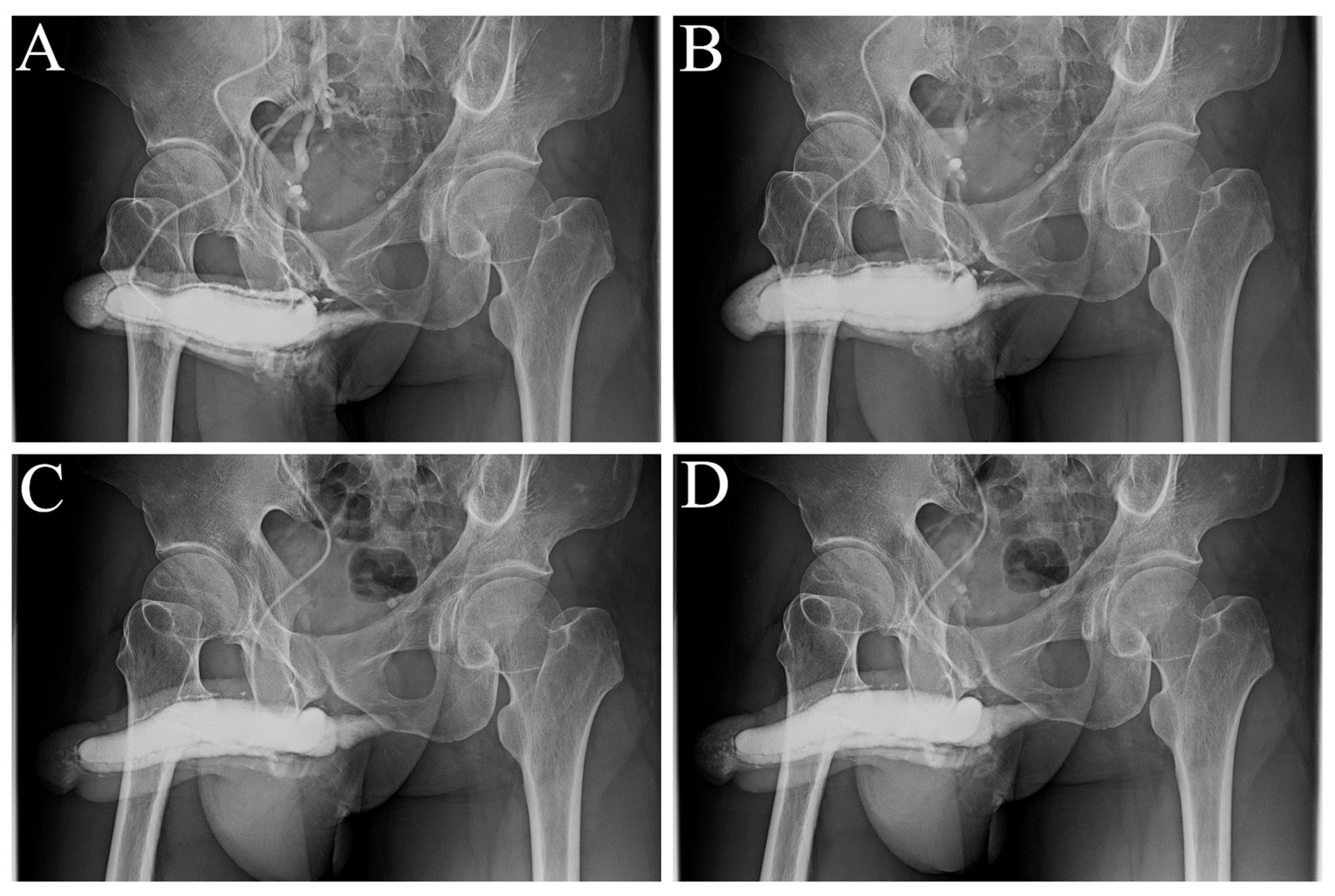 Preprints 109698 g004