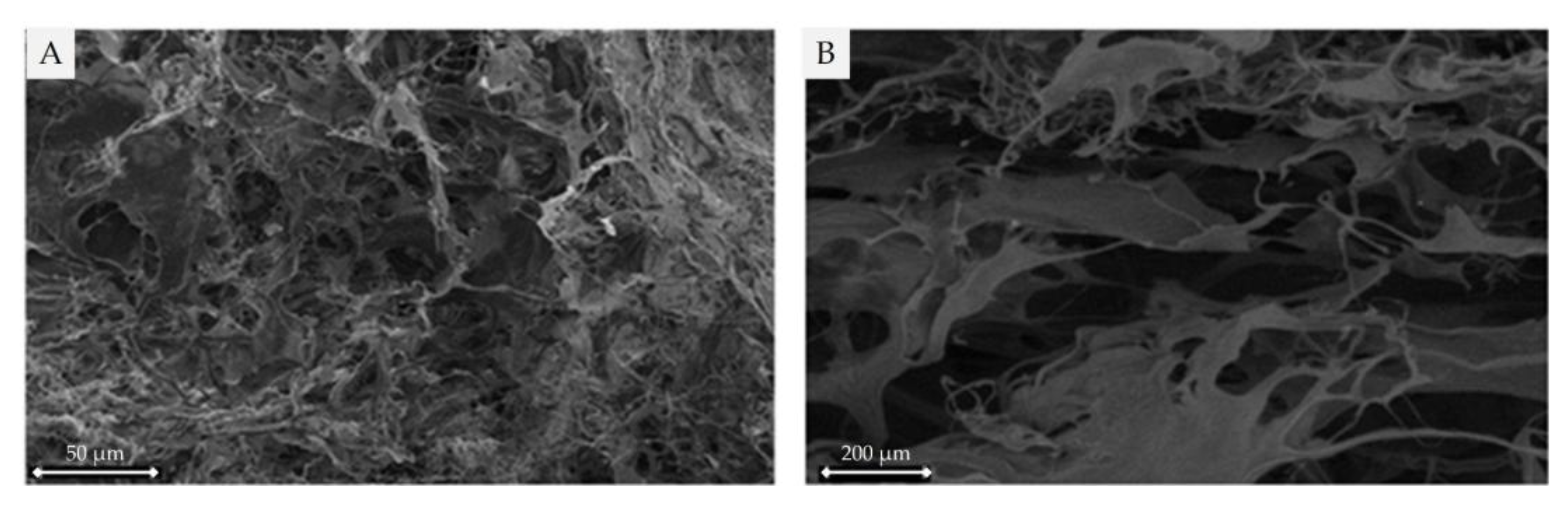 Preprints 177060 g002