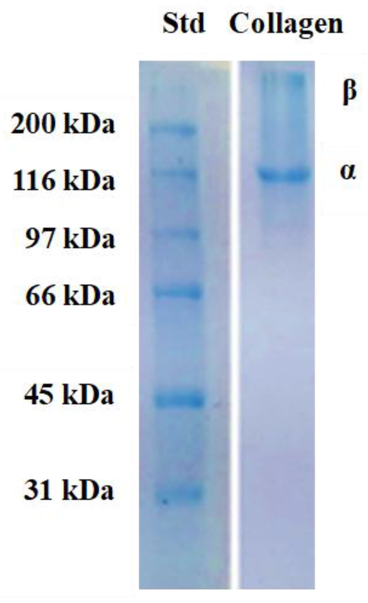 Preprints 177060 g003