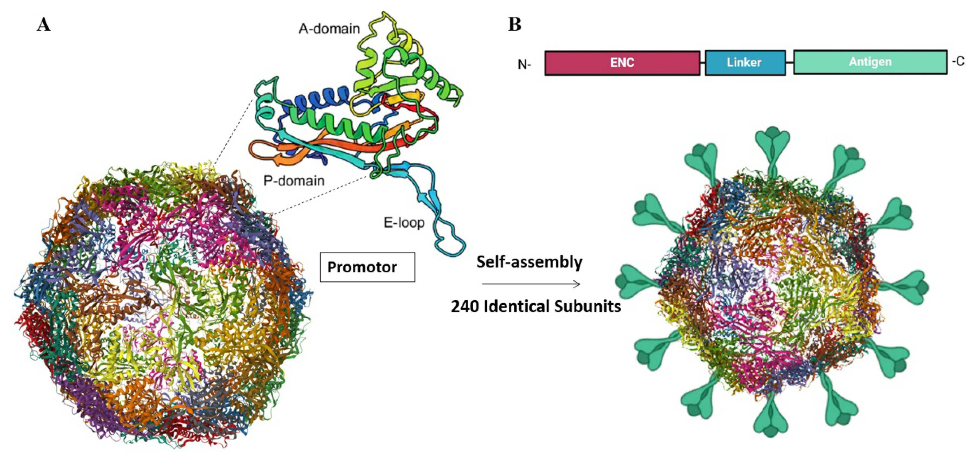 Preprints 157767 g004