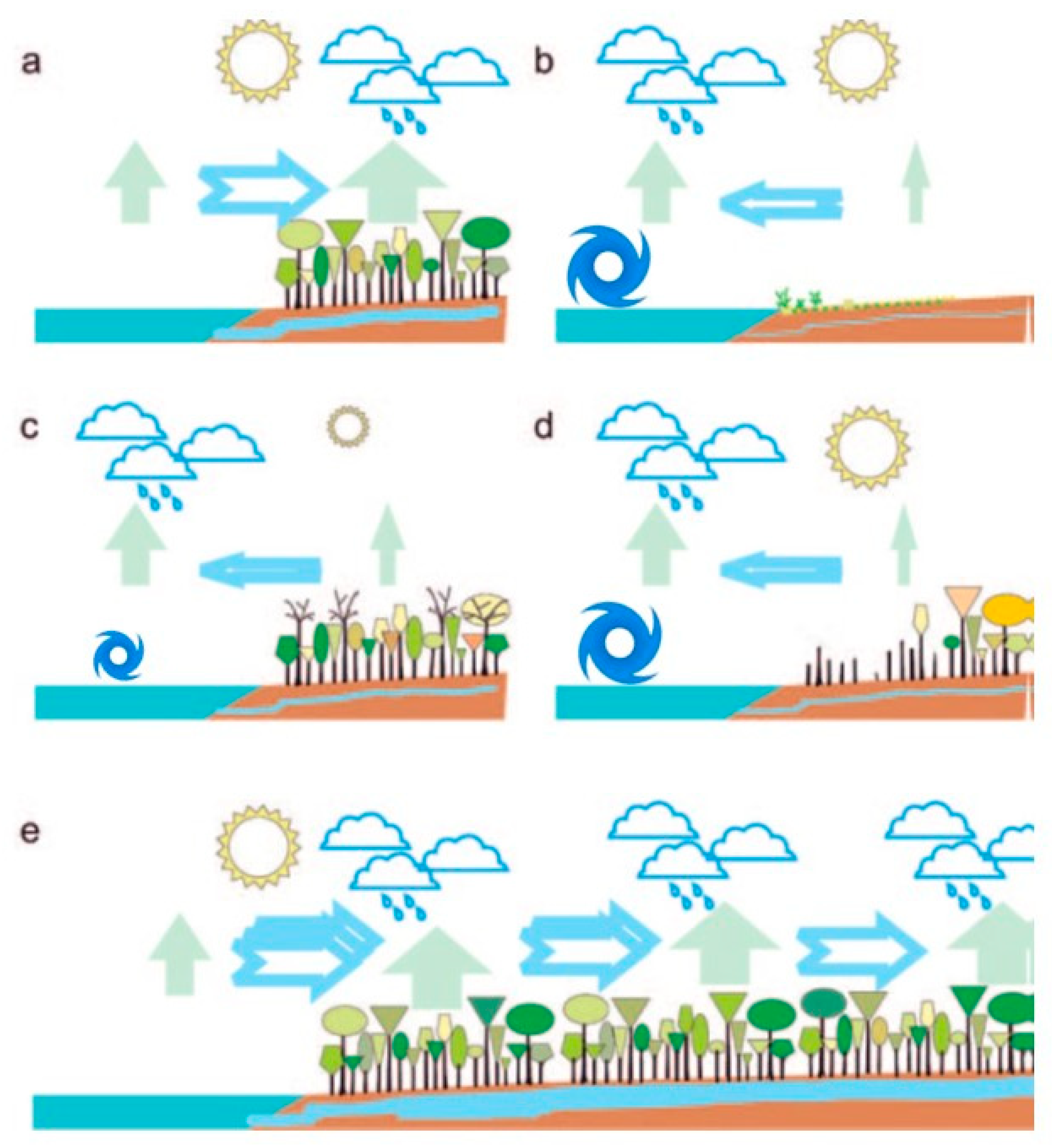Preprints 195751 g003