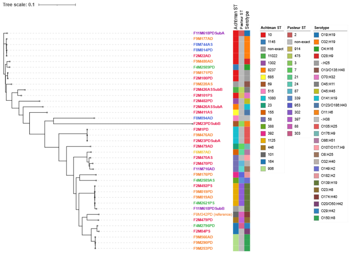 Preprints 227181 g001 Preprints 227181 g001