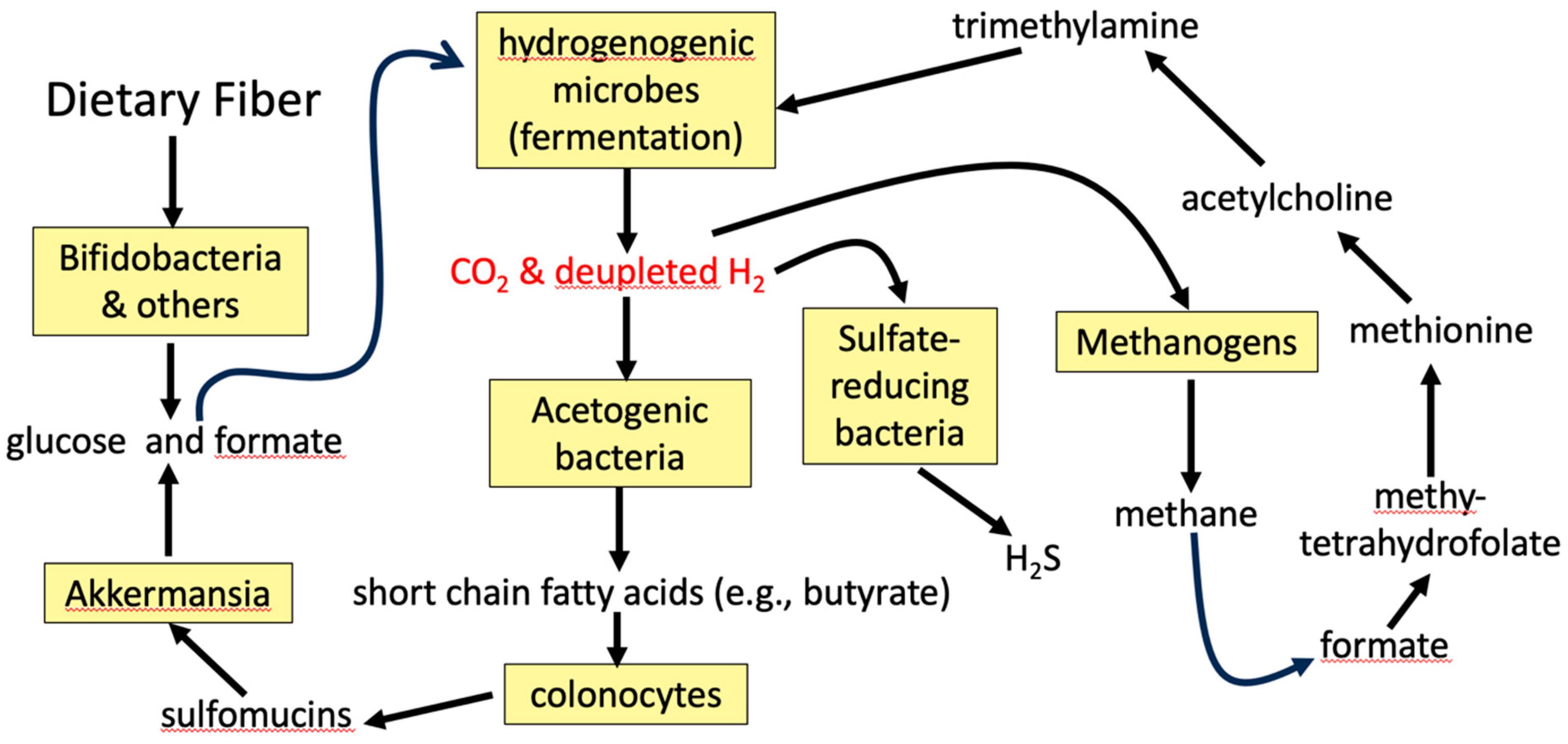 Preprints 155823 g001