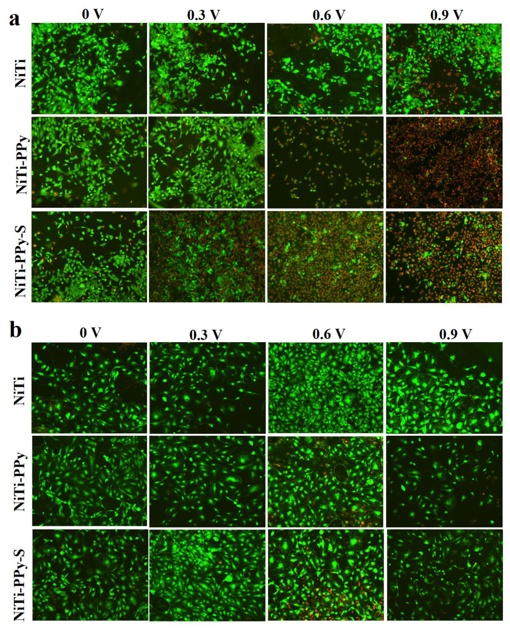 Preprints 220951 g005
