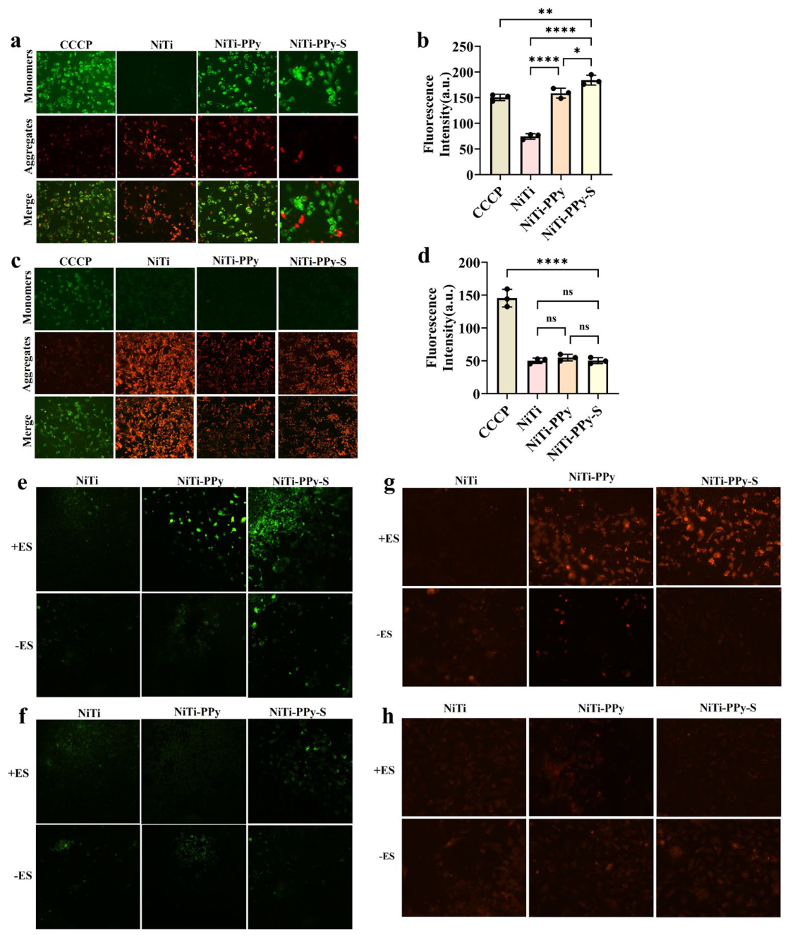 Preprints 220951 g007