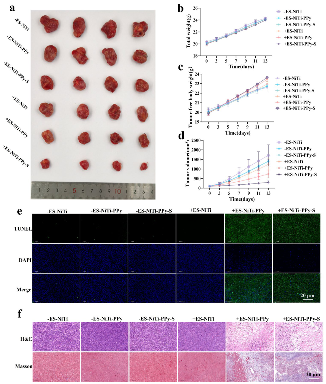 Preprints 220951 g010