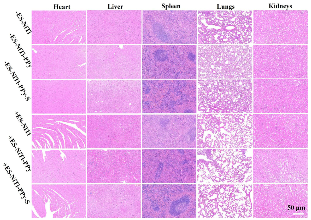 Preprints 220951 g011