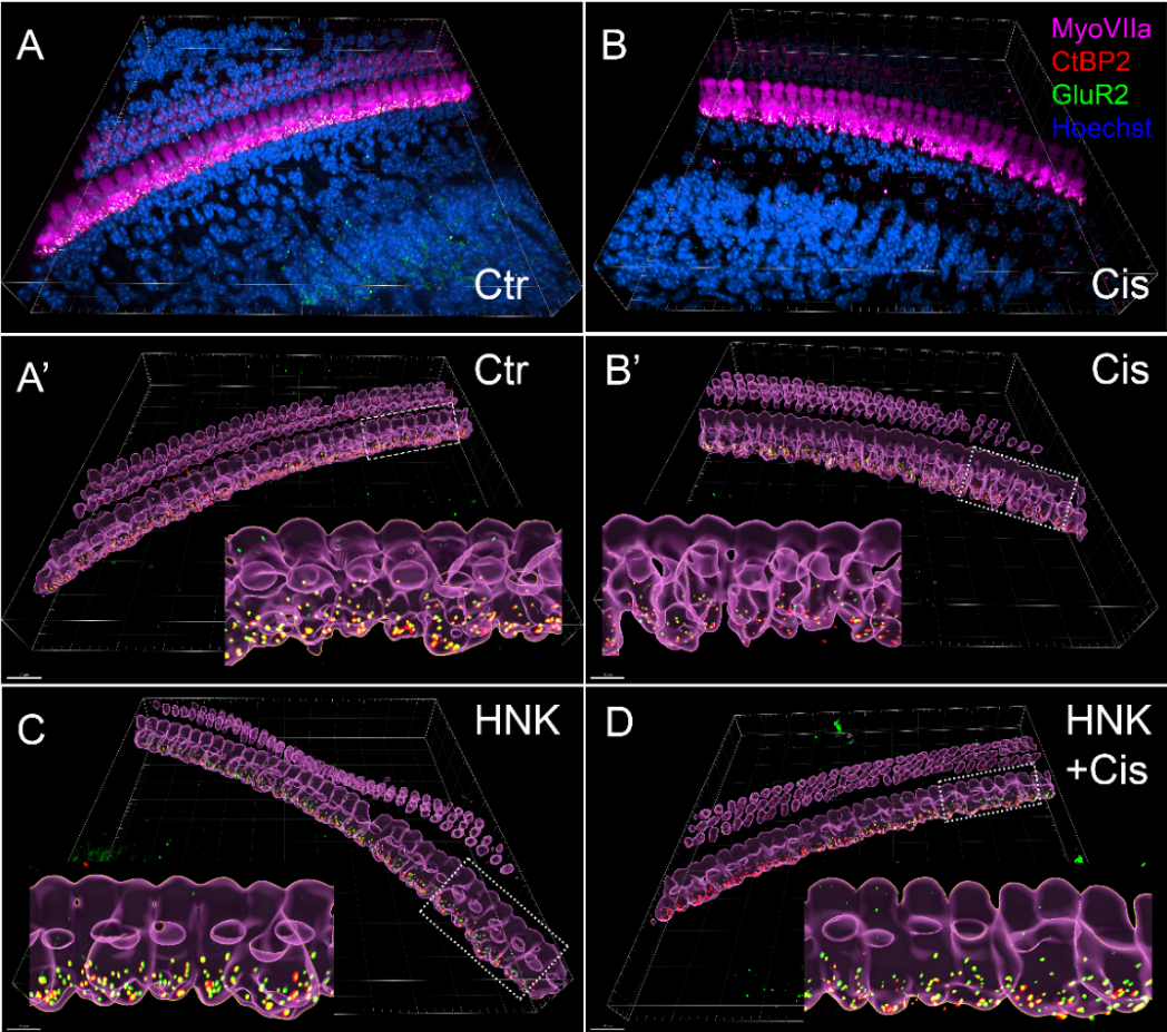 Preprints 236041 g004