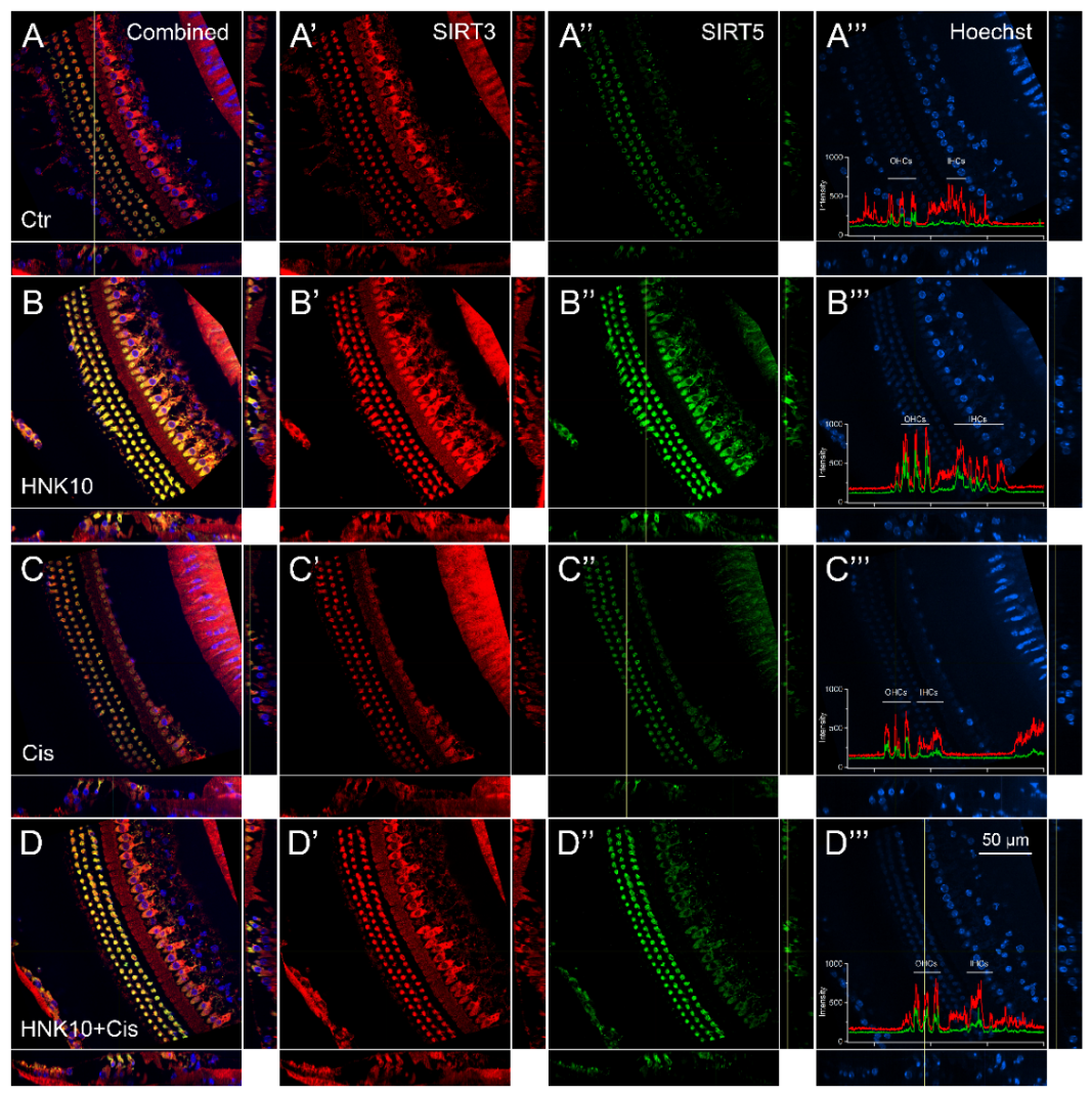 Preprints 236041 g006