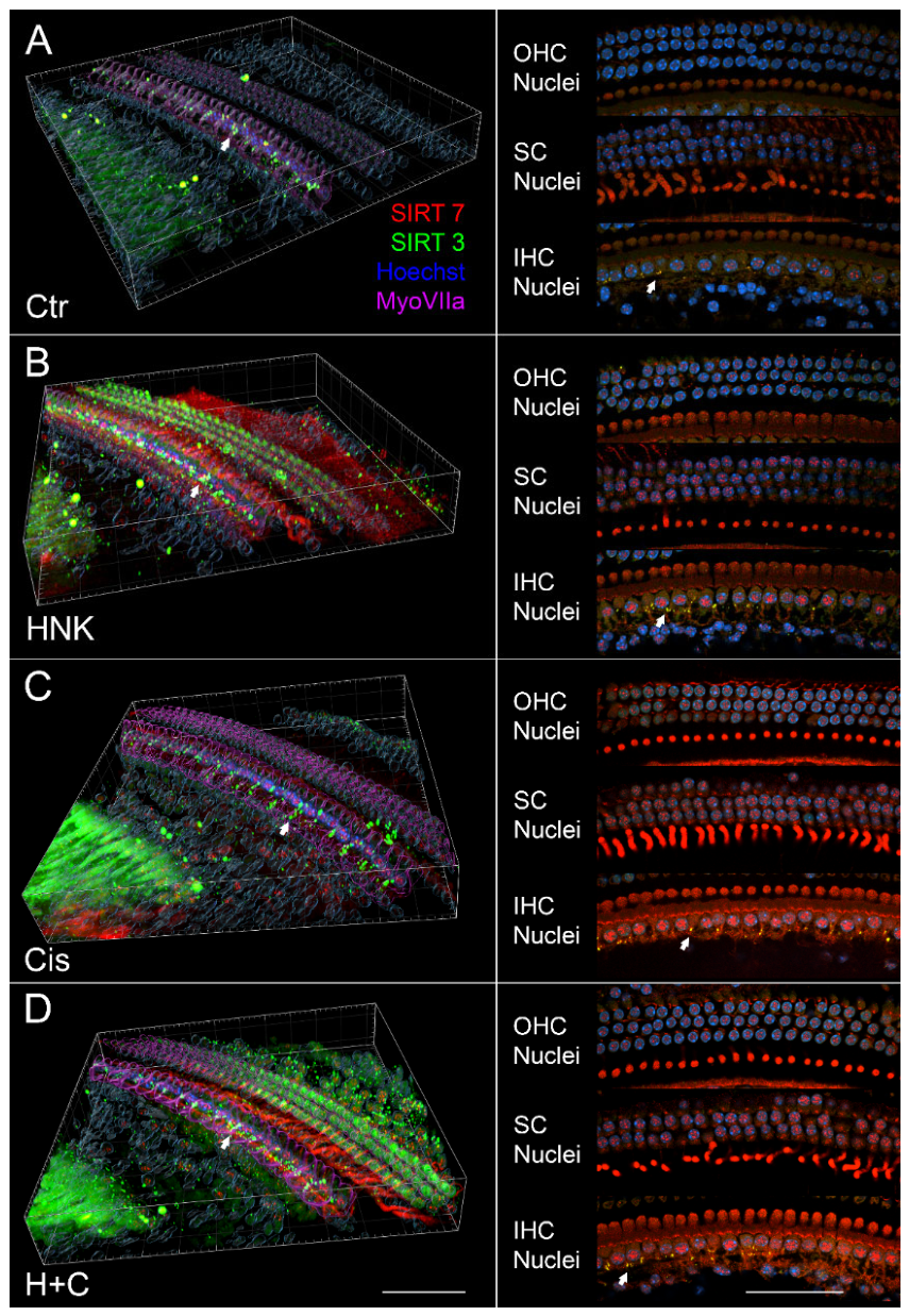 Preprints 236041 g007