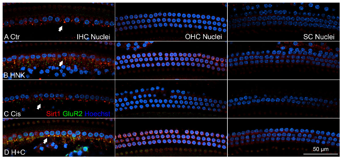 Preprints 236041 g008