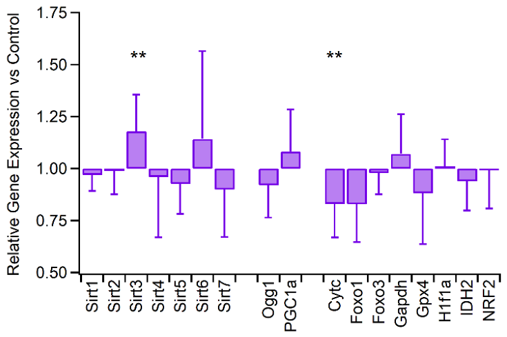 Preprints 236041 g009
