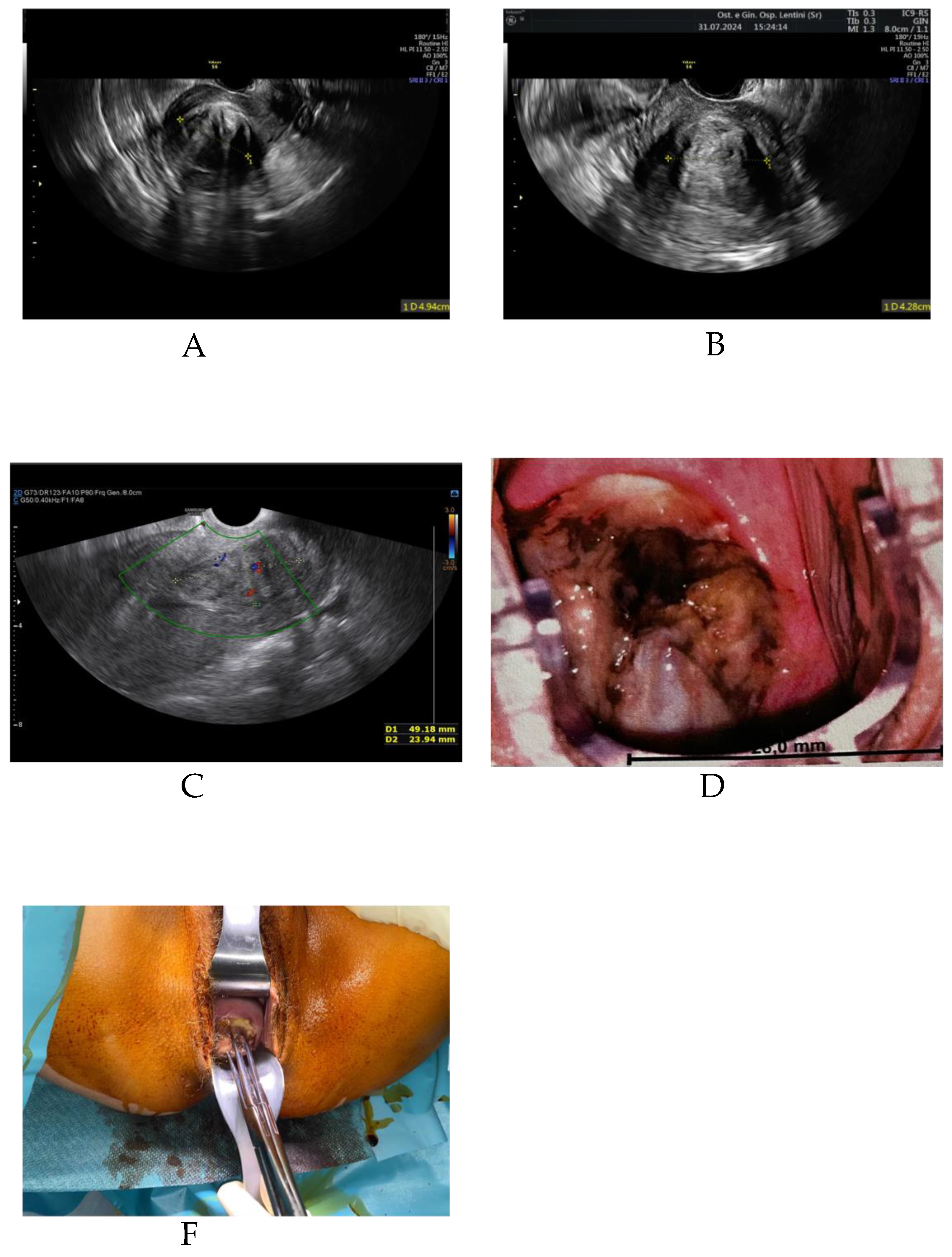Preprints 183345 g001