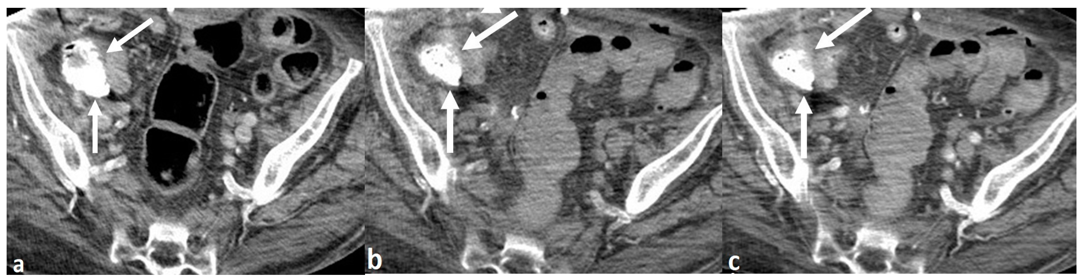 Preprints 153328 g001