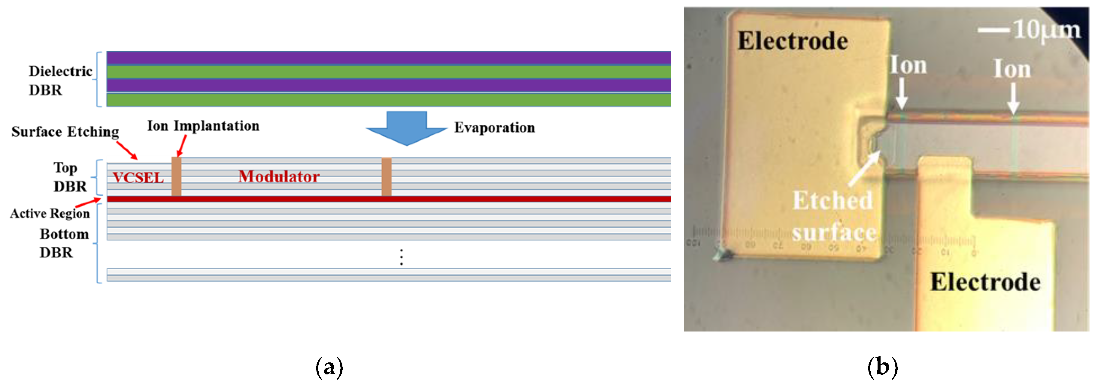 Preprints 196216 g001