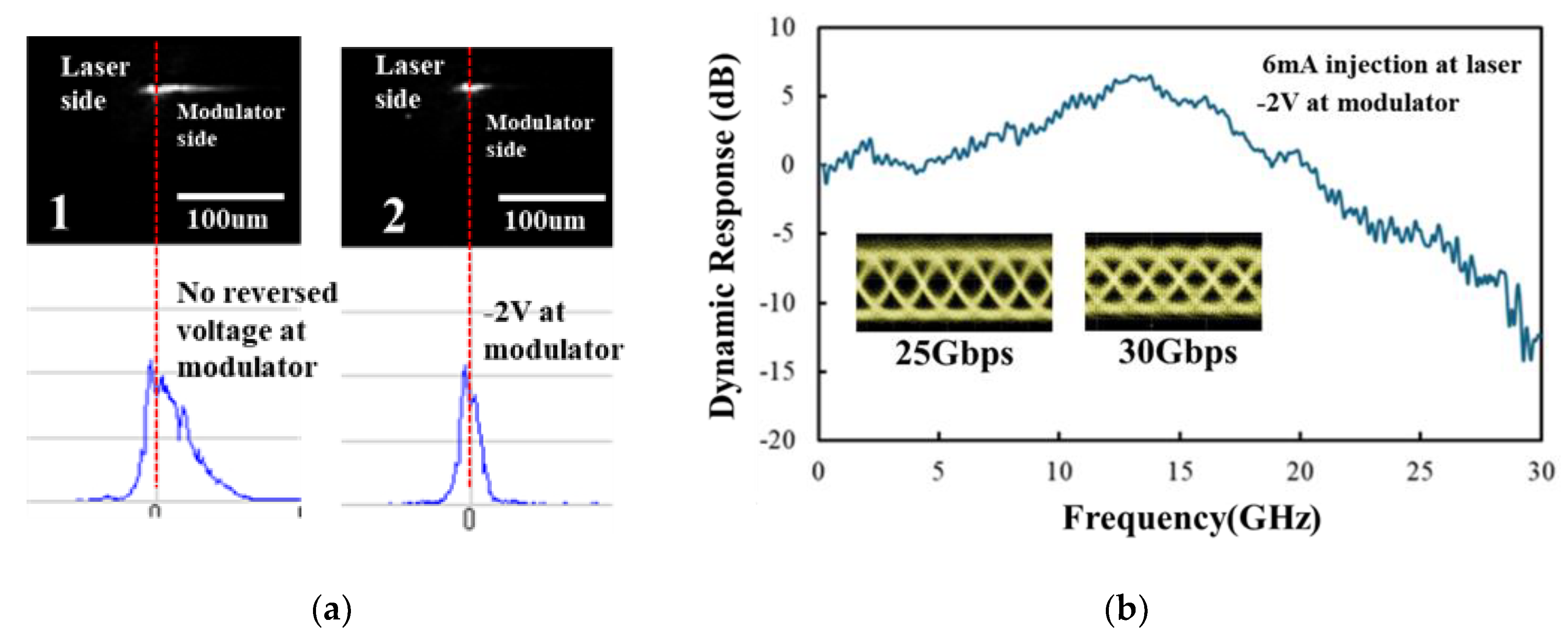 Preprints 196216 g004