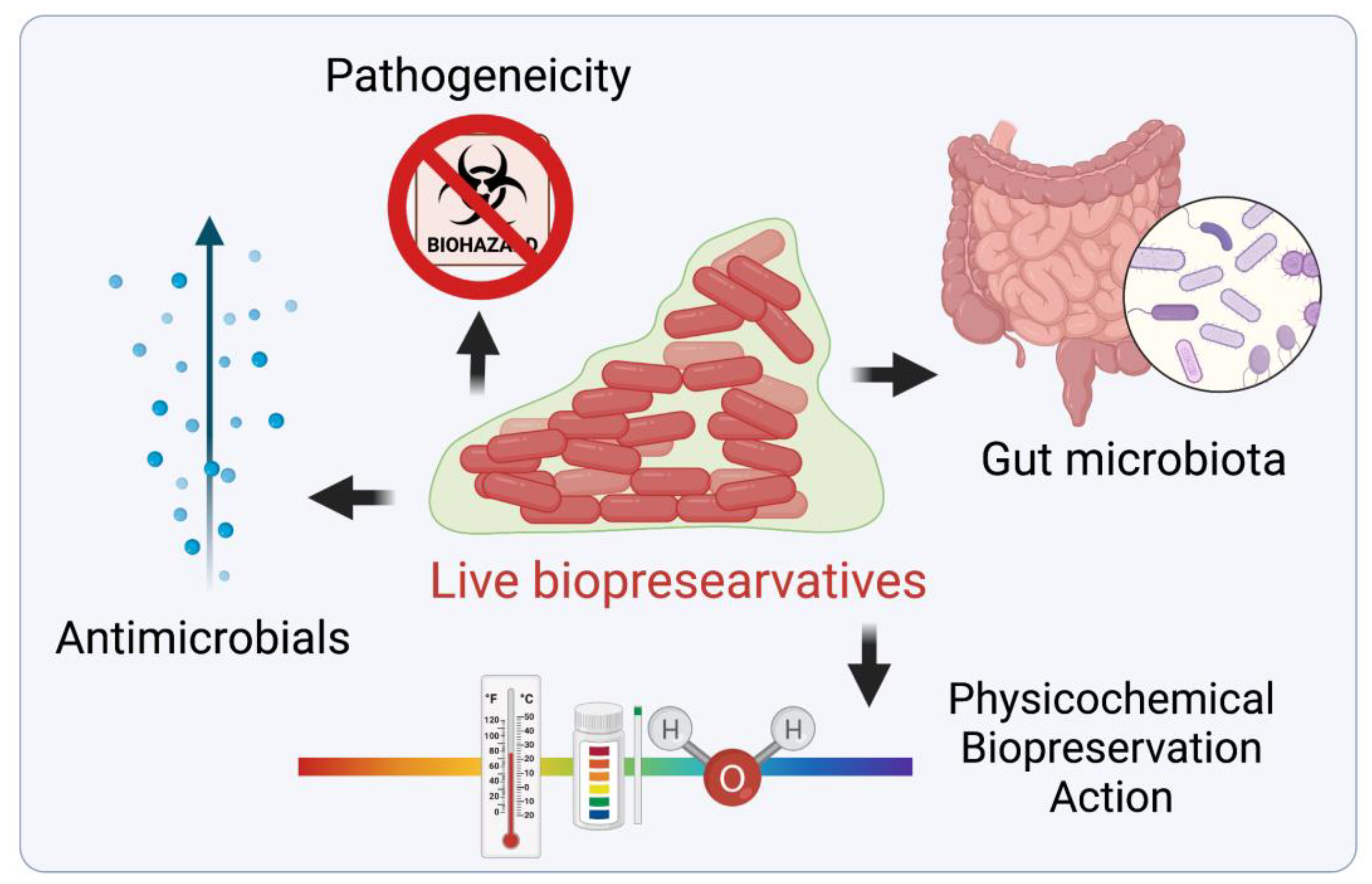 Preprints 139791 g001