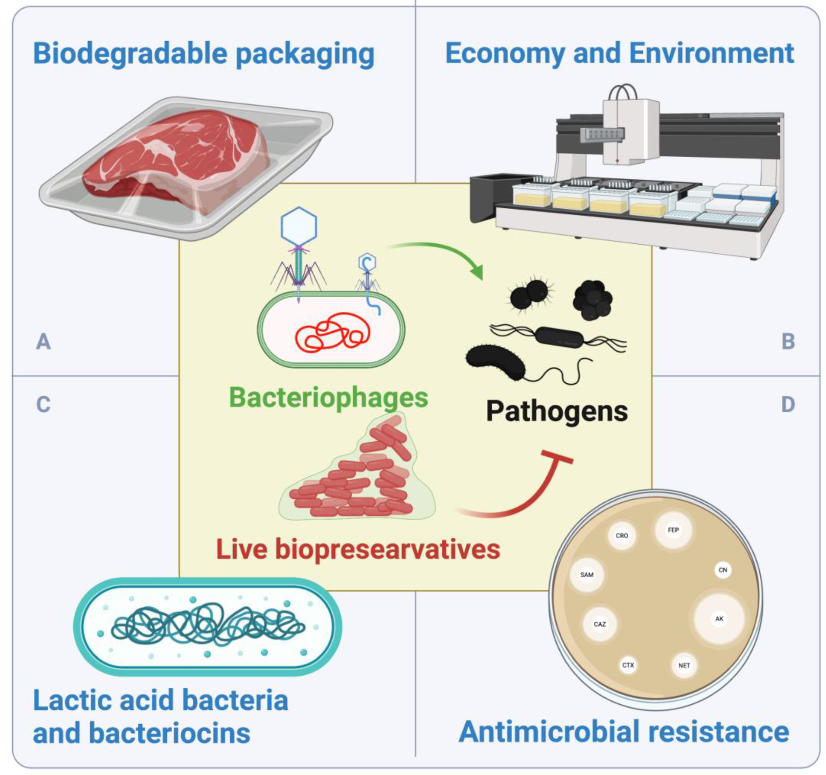 Preprints 139791 g002
