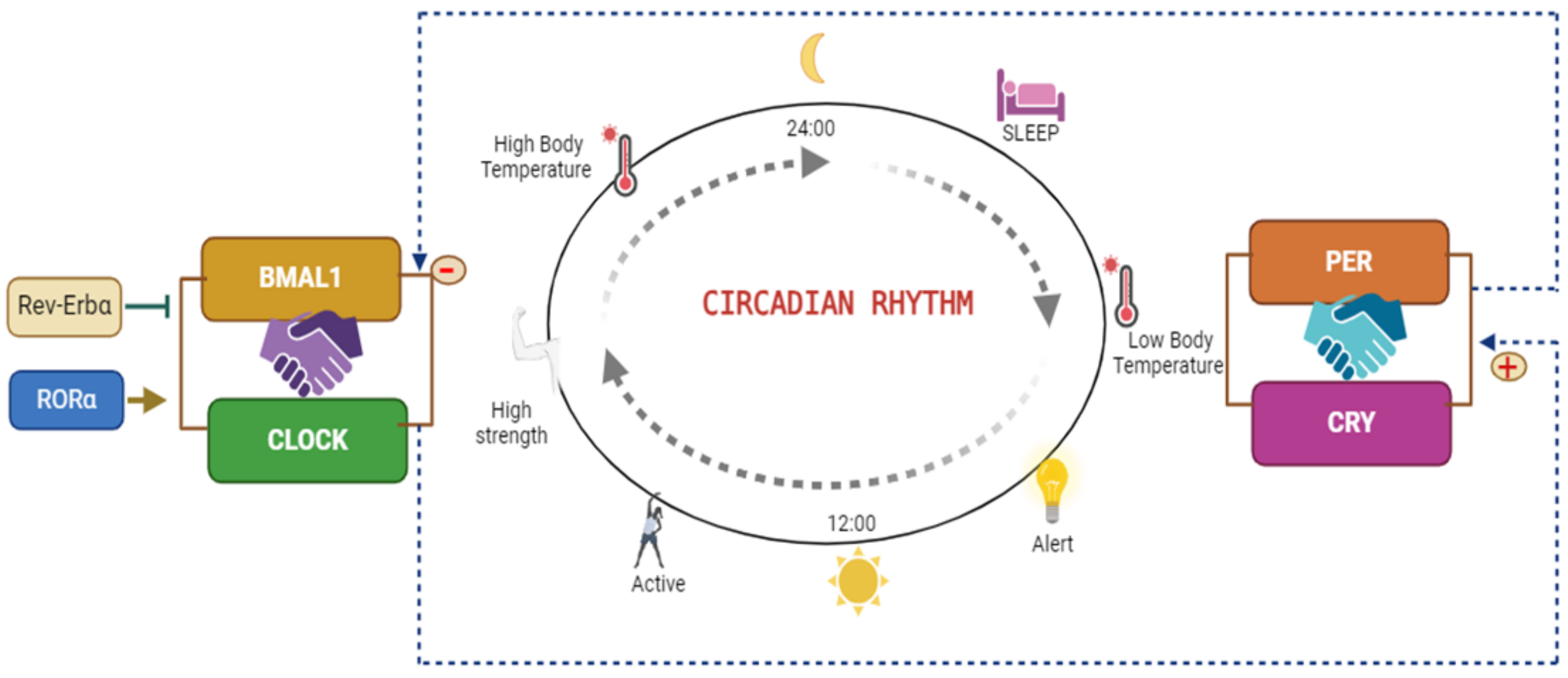 Preprints 141006 g001