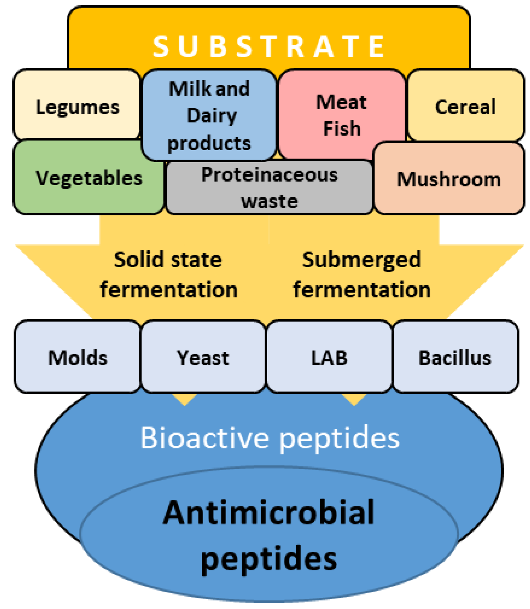 Preprints 143384 g002