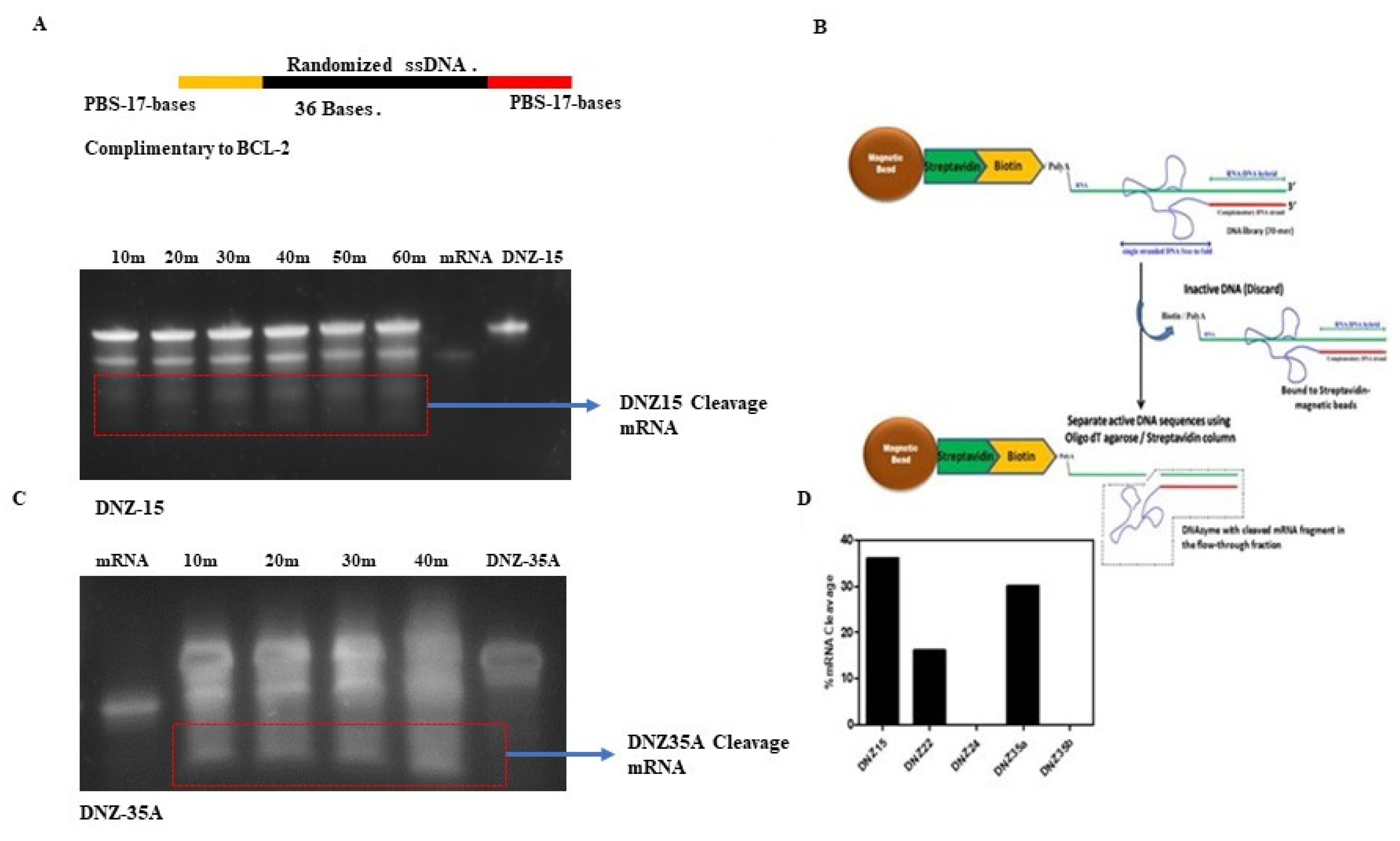 Preprints 161244 g001