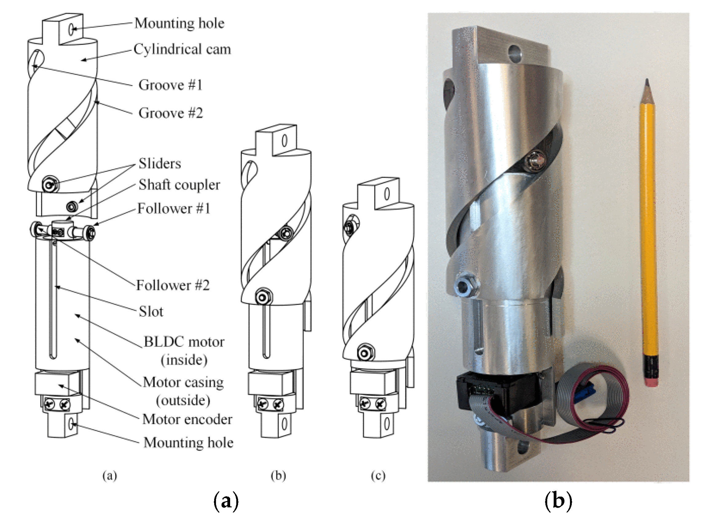 Preprints 152644 g033