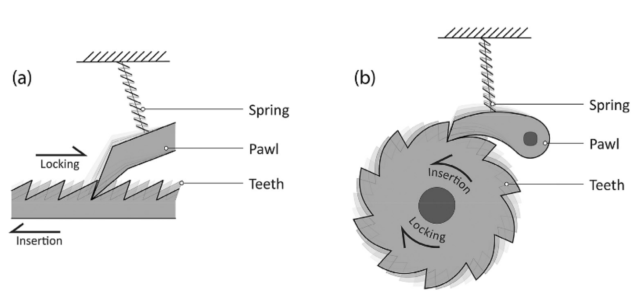 Preprints 152644 g034