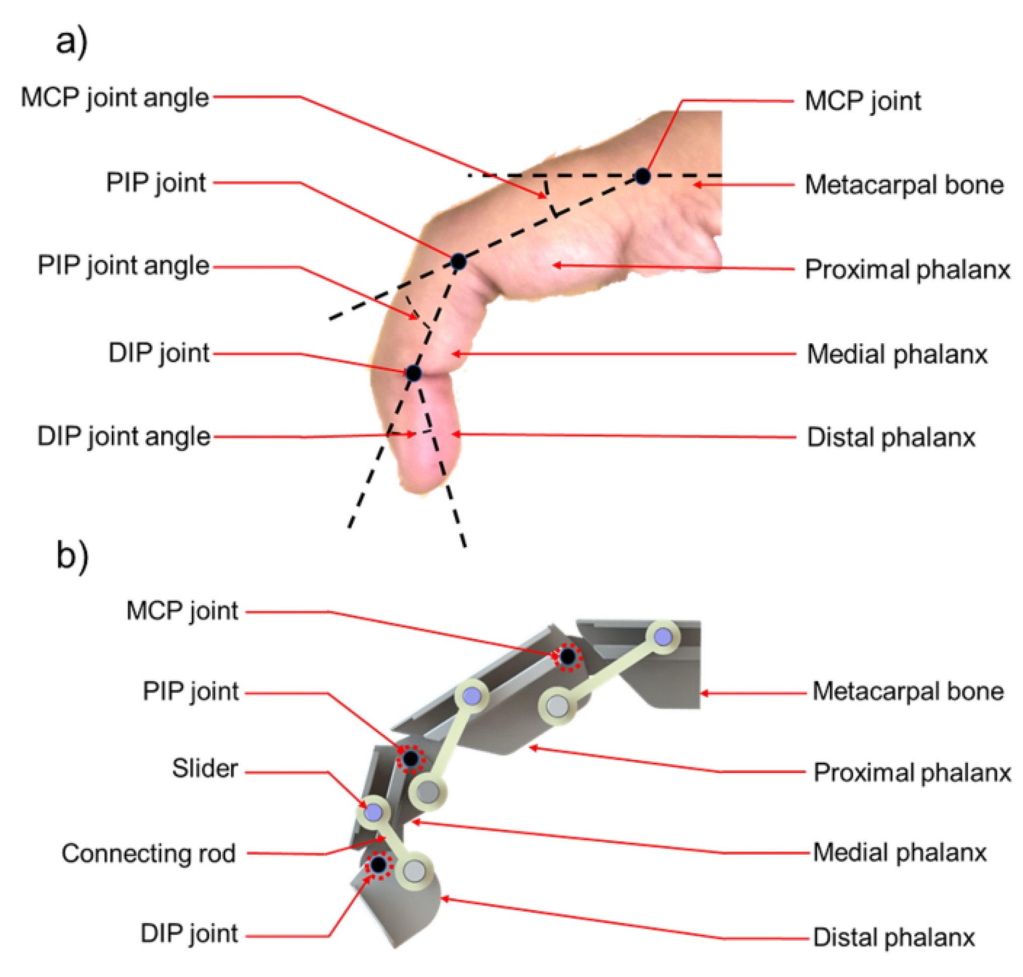 Preprints 152644 g062