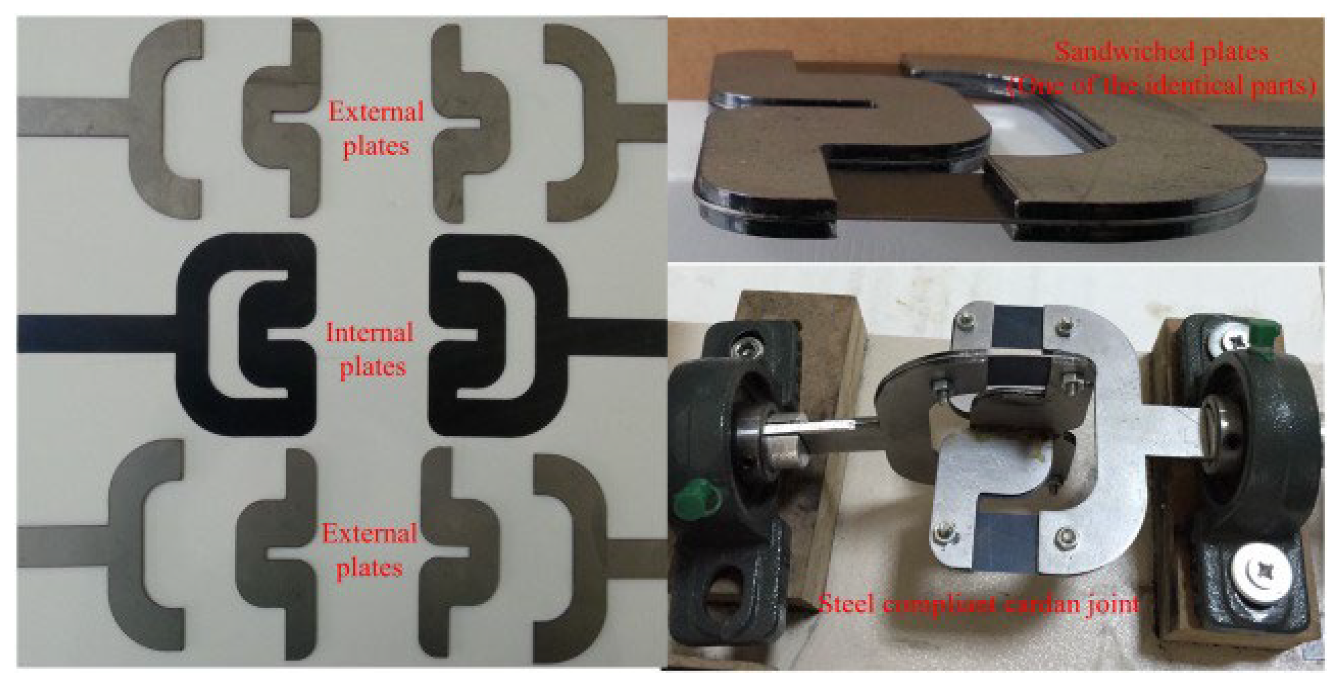 Preprints 152644 g080