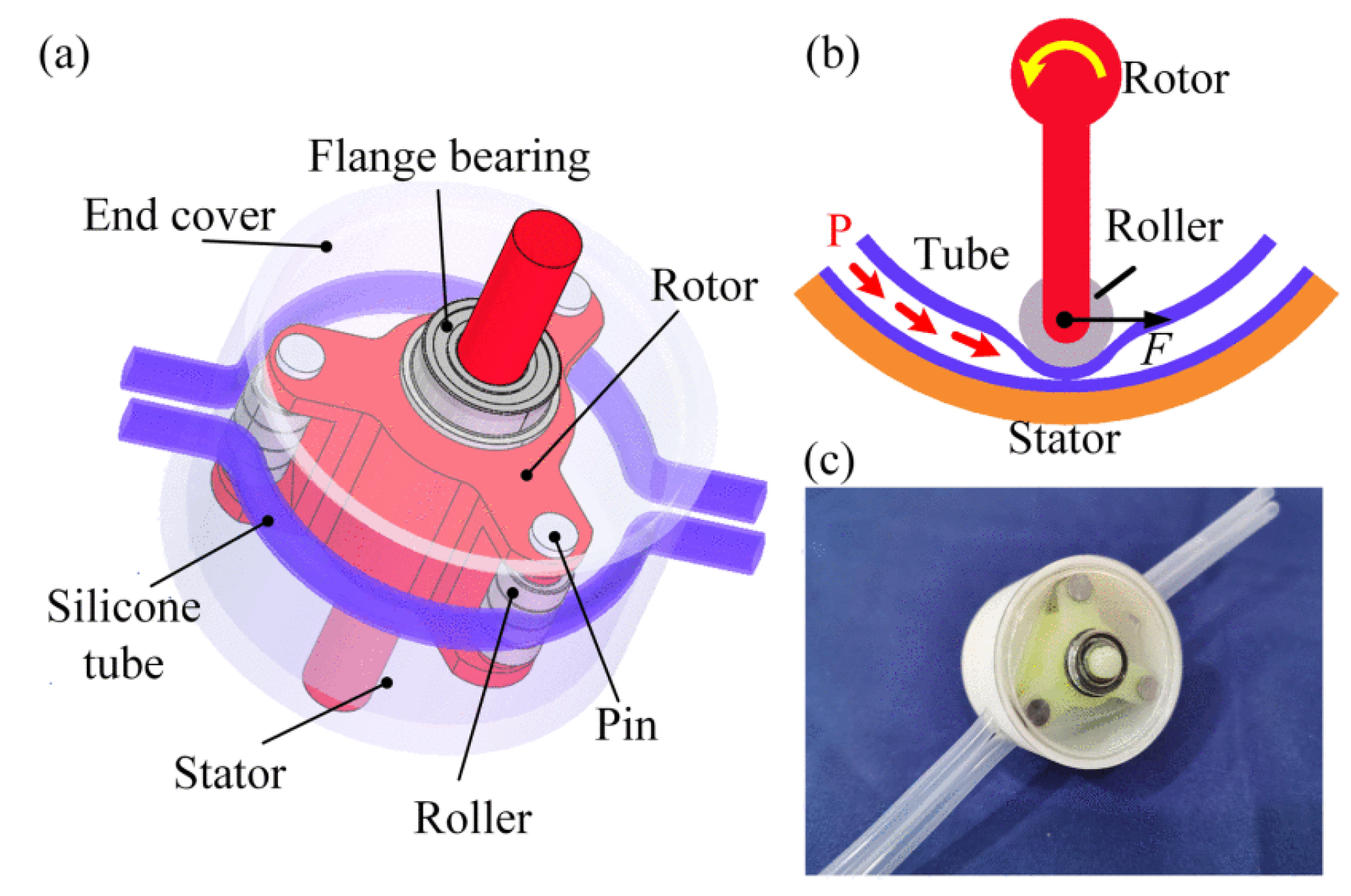 Preprints 152644 g097