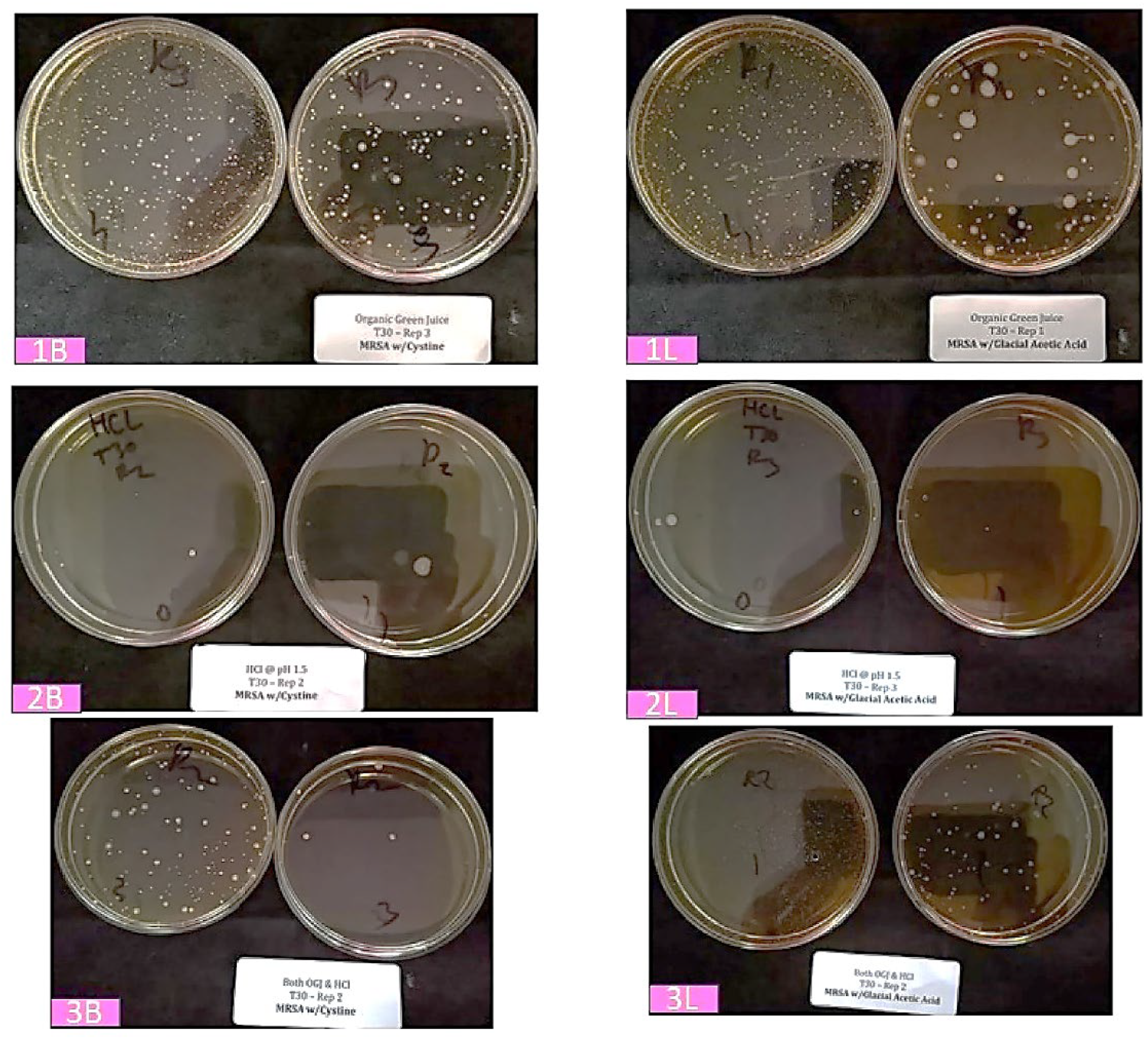 Preprints 138202 g001