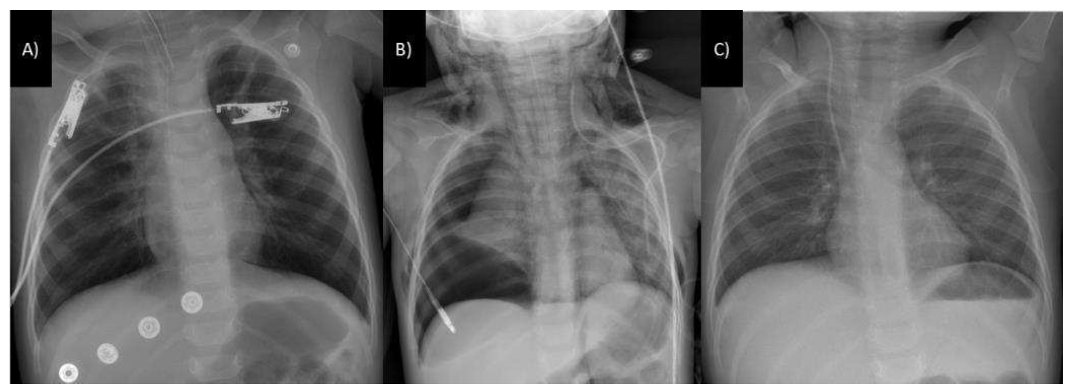 Preprints 95649 g001