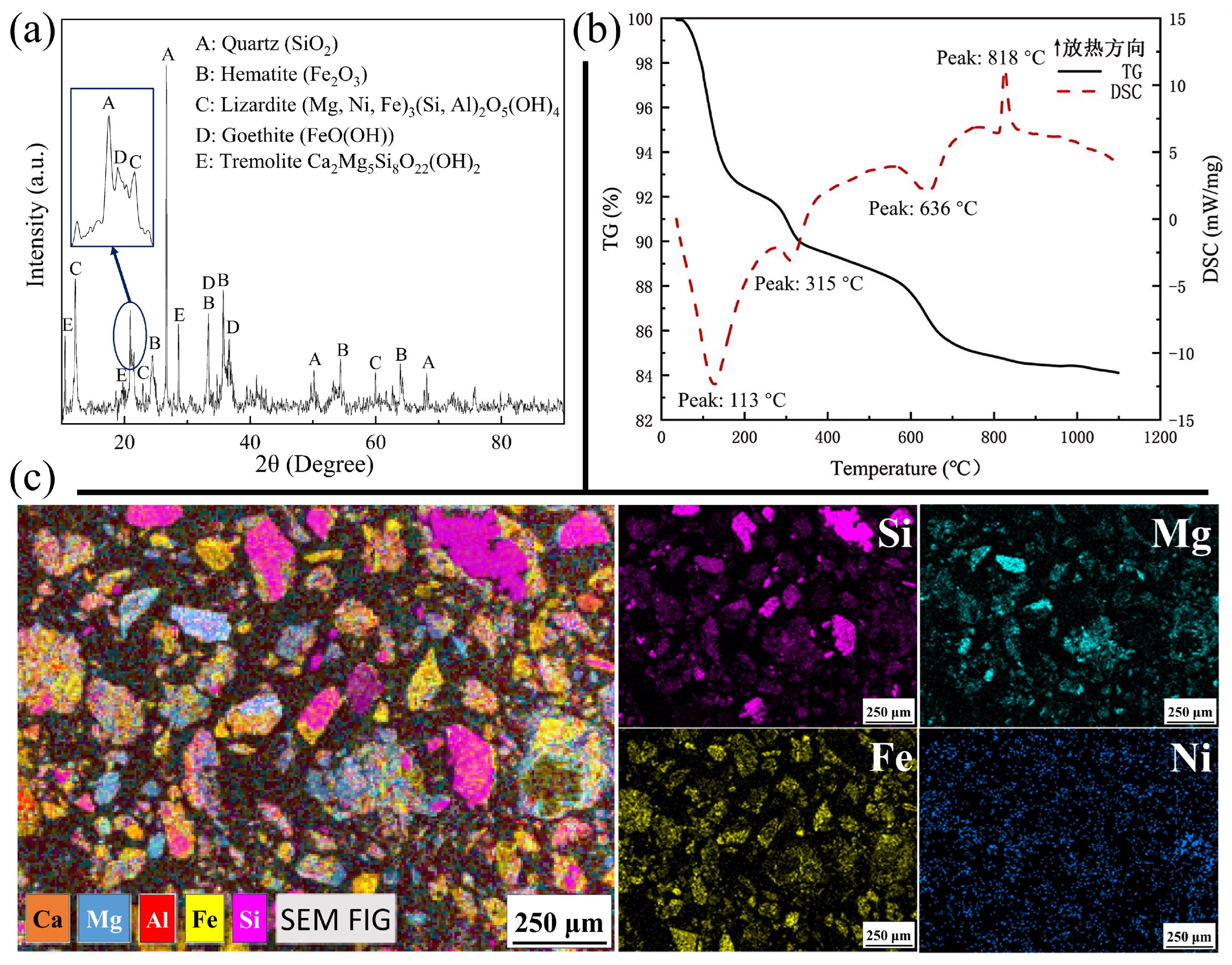 Preprints 190198 g001