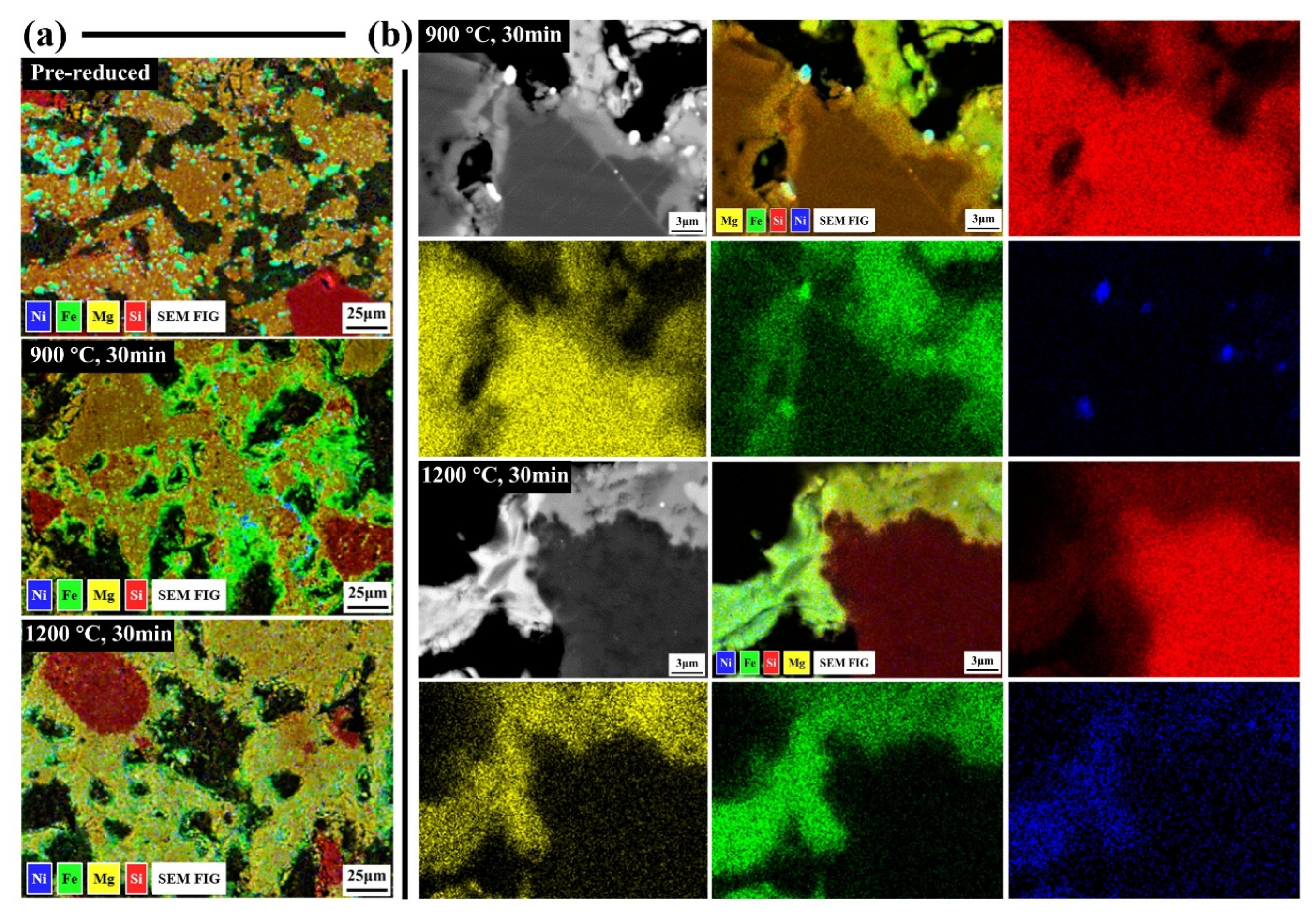 Preprints 190198 g007